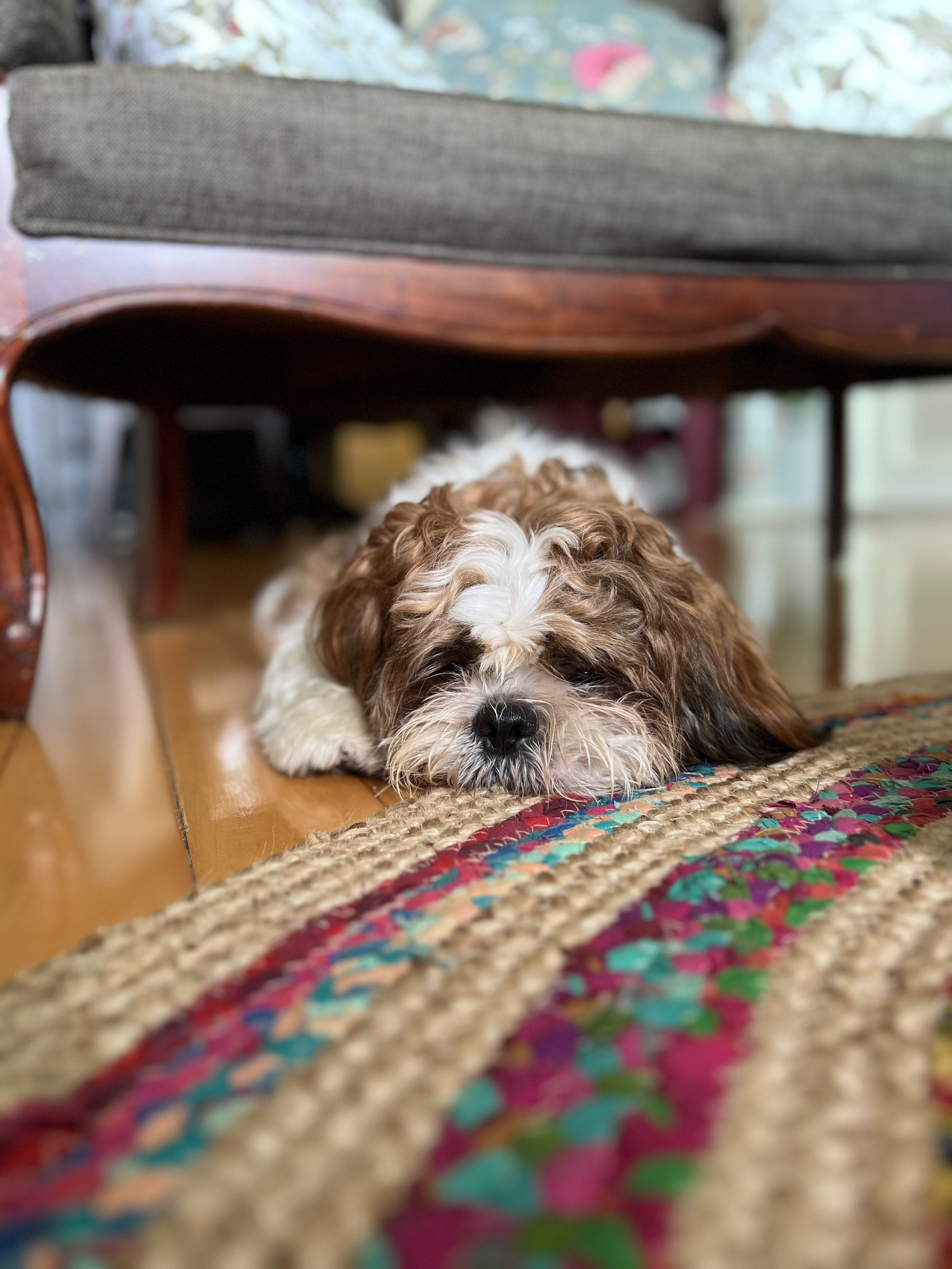 IMG_9773.jpeg