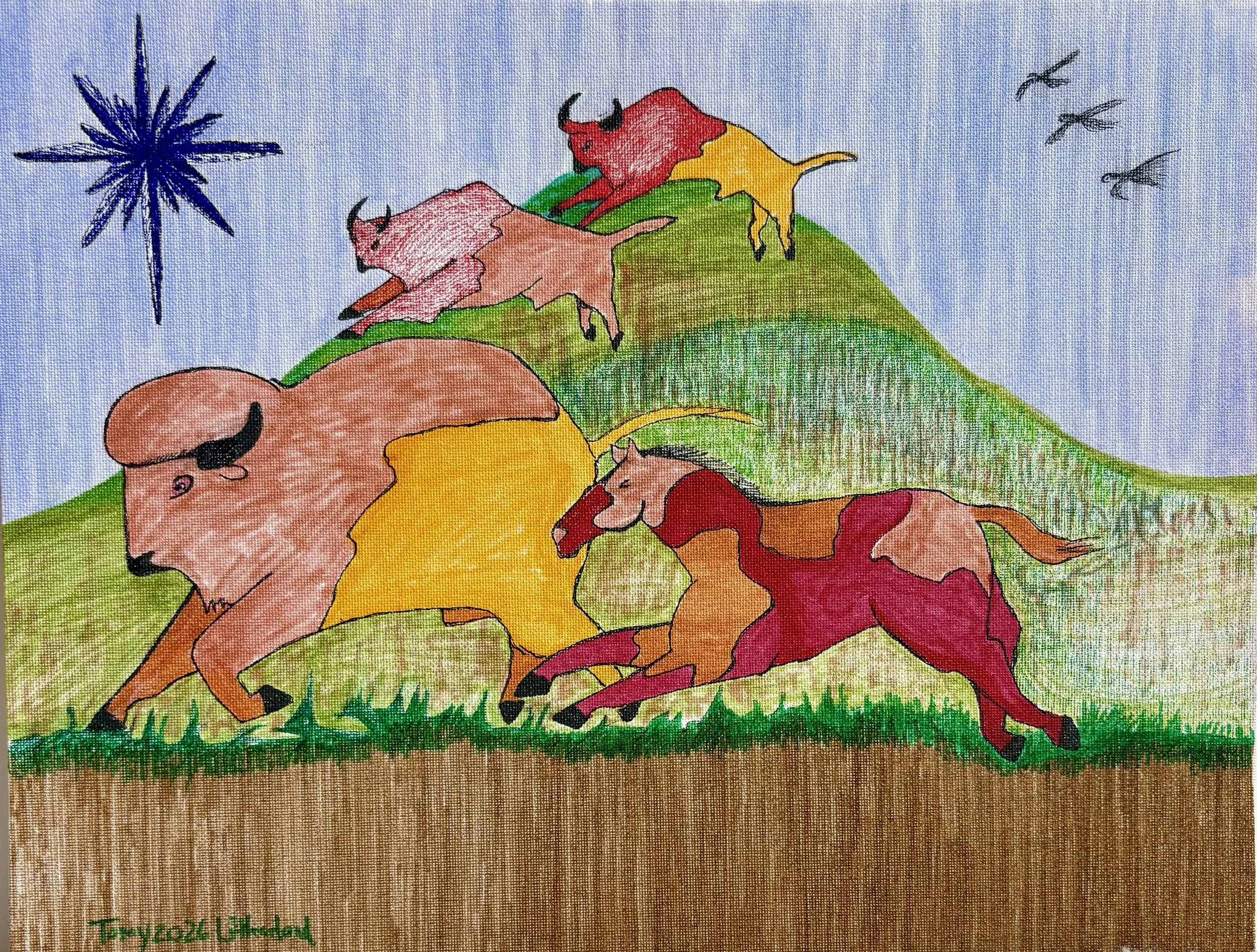 BisonStampede.jpg