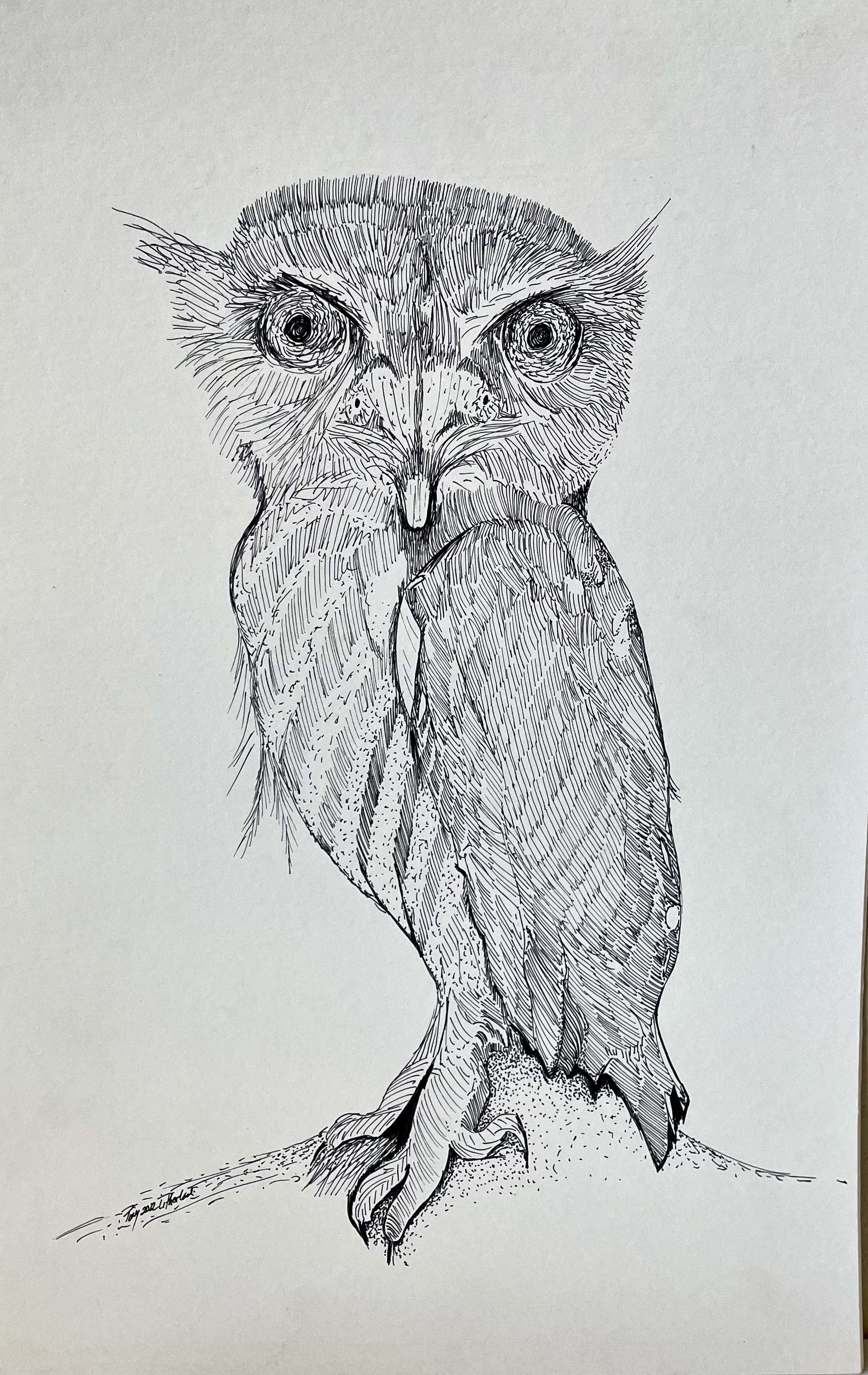Owl-sketch-artwork-18x12.jpg