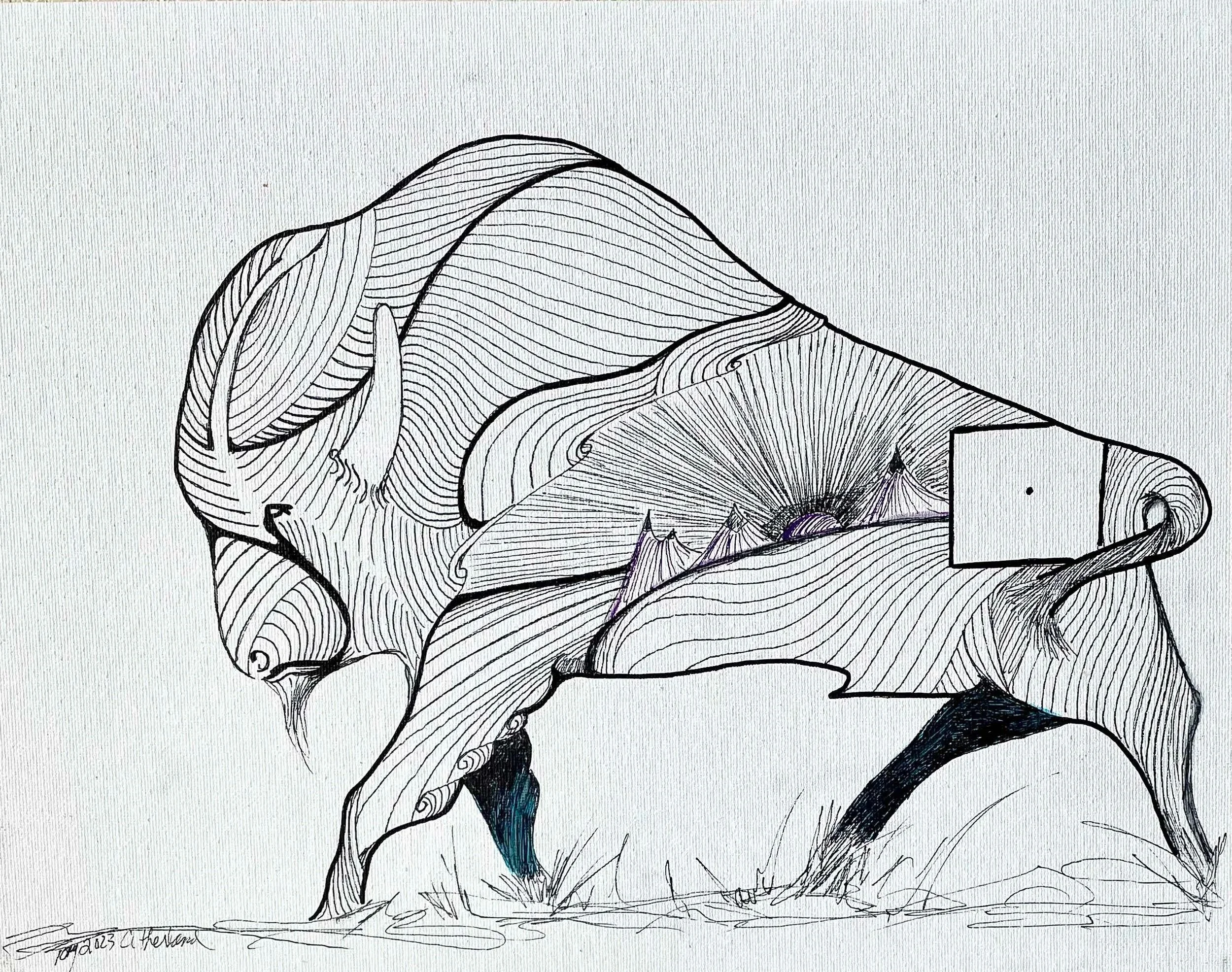Bison-sketch-artwork-14-x-11-10.jpg
