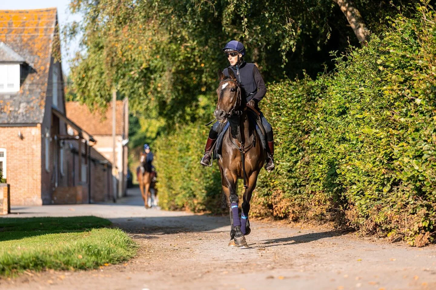 One of our stable stars of the season is 𝗖𝗲𝗿𝘁𝗮𝗶𝗻 𝗟𝗮𝗱&nbsp;🏇

He ran six times for us this year, narrowly placing three times and winning twice including the La Coupe de Maisons-Laffitte (Group 3) under George Bass in Longchamp.&nbsp;

#JCR