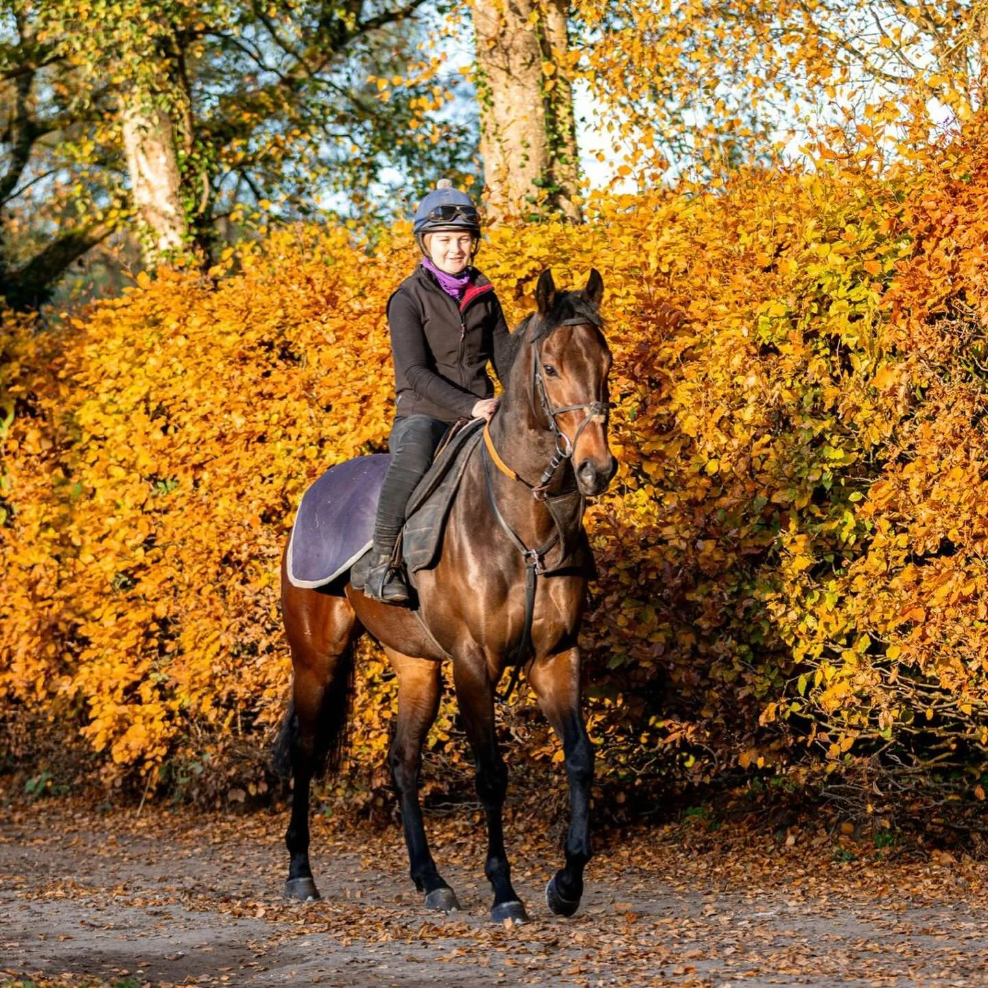 Autumnal mornings at West Ilsley Stables 🏇🍁

#JackChannonRacing #JCR #Horse #HorseRacing