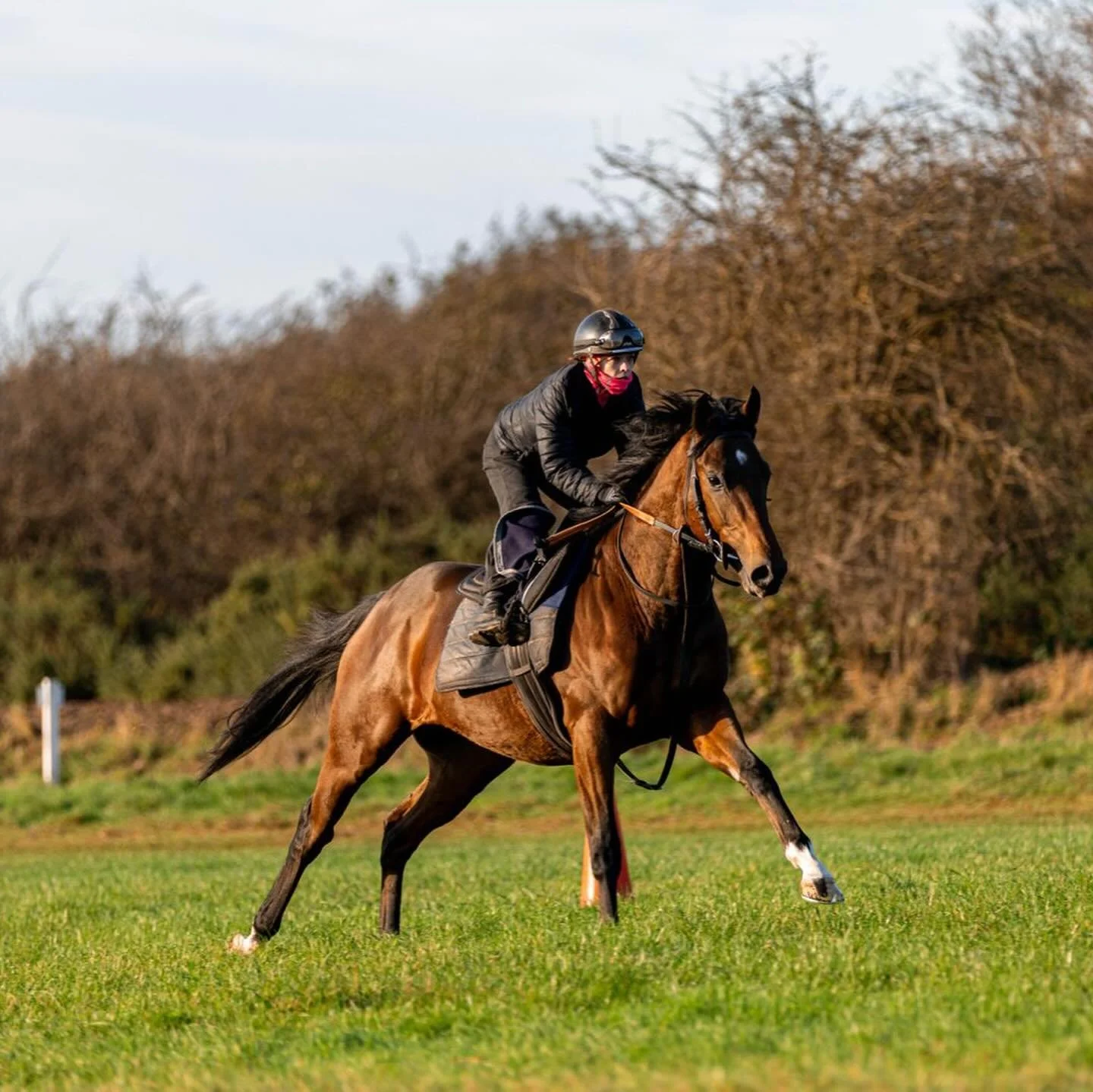 The chilly mornings have begun, but our dedicated team continue to work hard through the colder months! 🏇❄️

#JackChannonRacing #JCR #Horse #HorseRacing