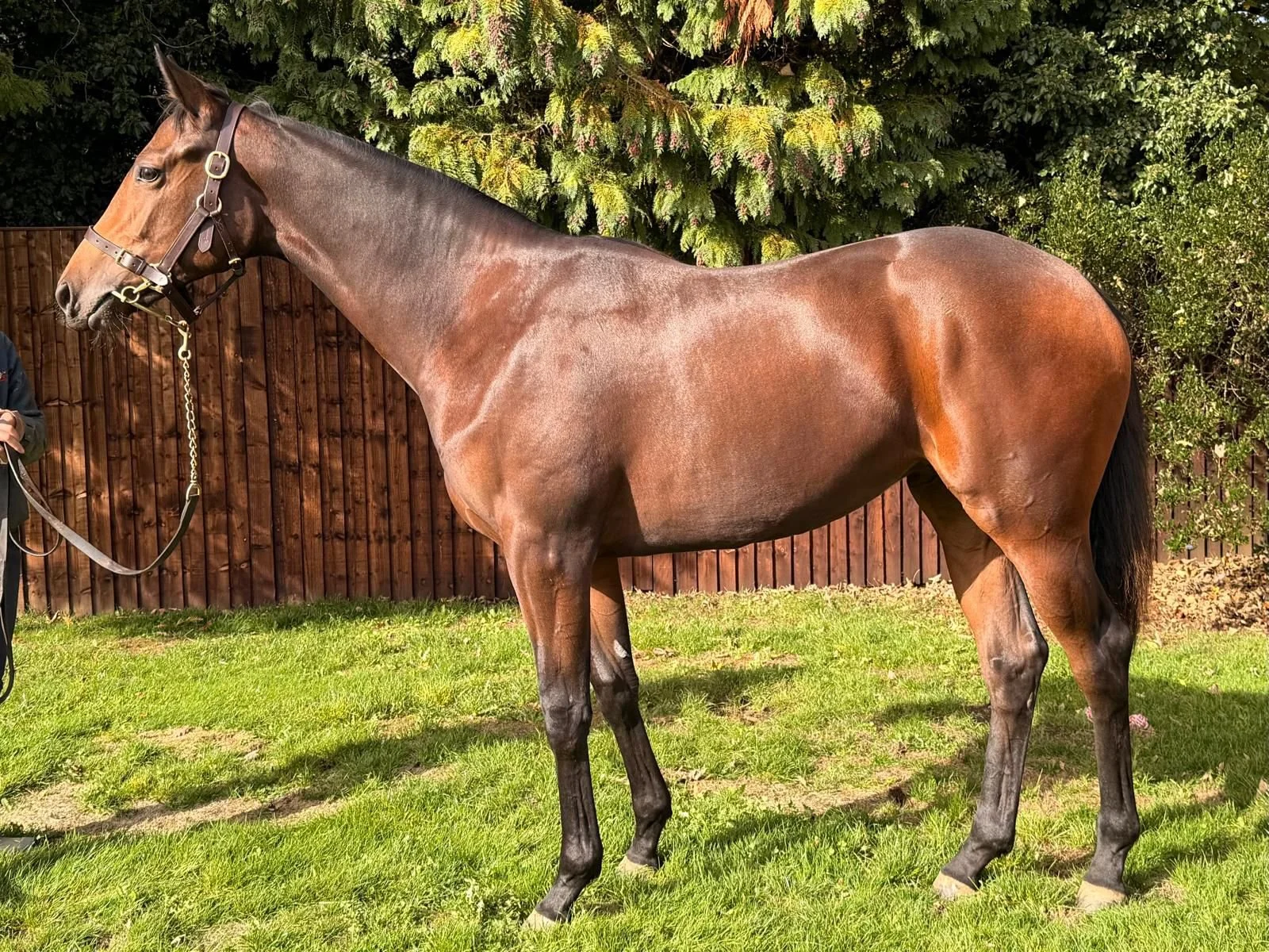 WhatsApp Image 2025-10-22 at 13.06.18.jpeg