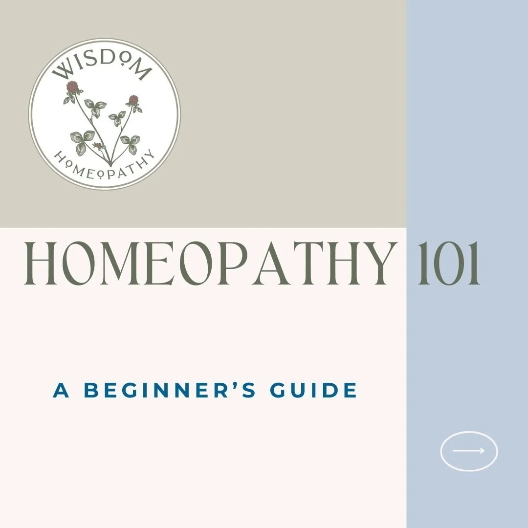 Homeopathy 101: A Beginner’s Guide to Natural Healing