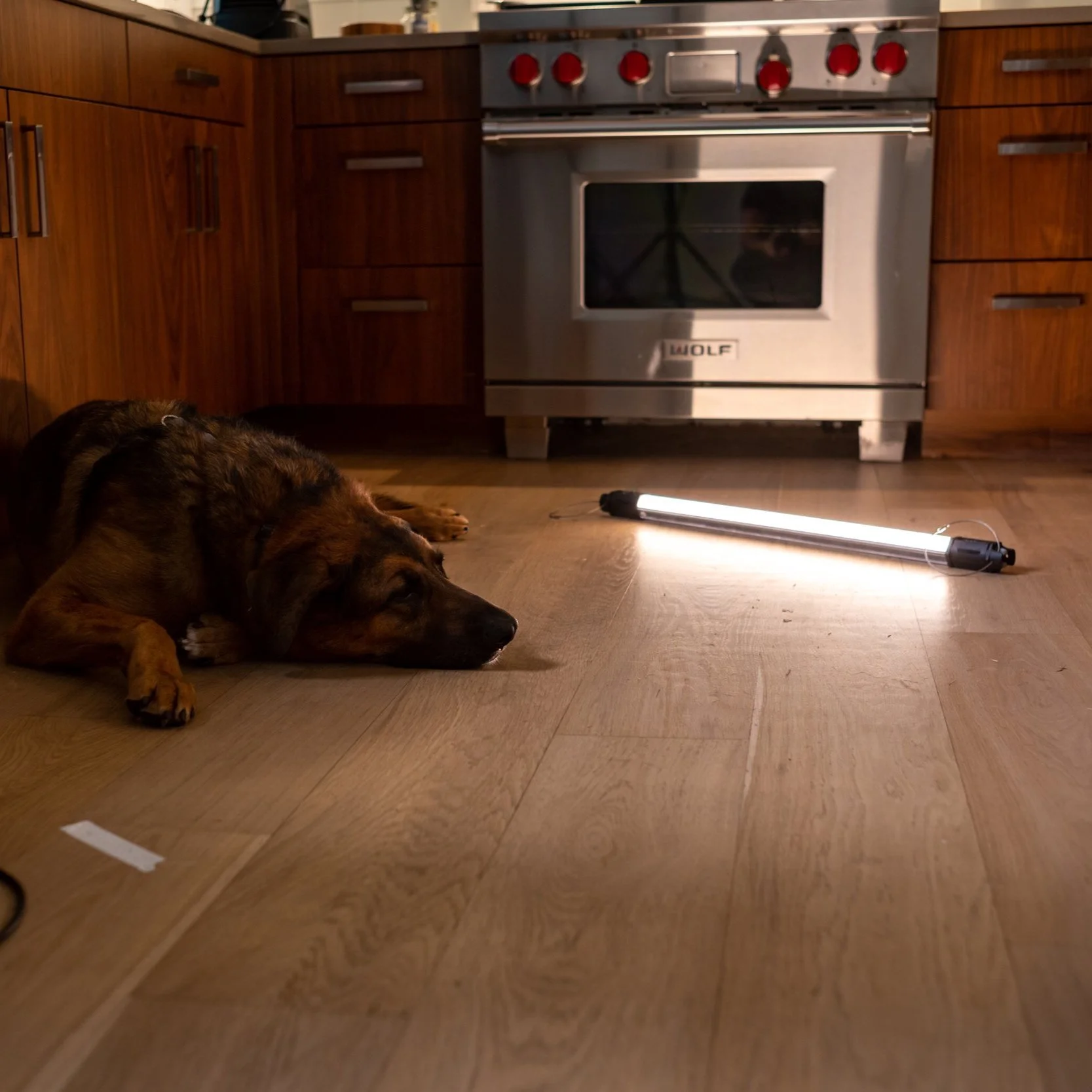 LumixSync_copy_2020-12-11 23:04:11 +0000RawFile.jpg