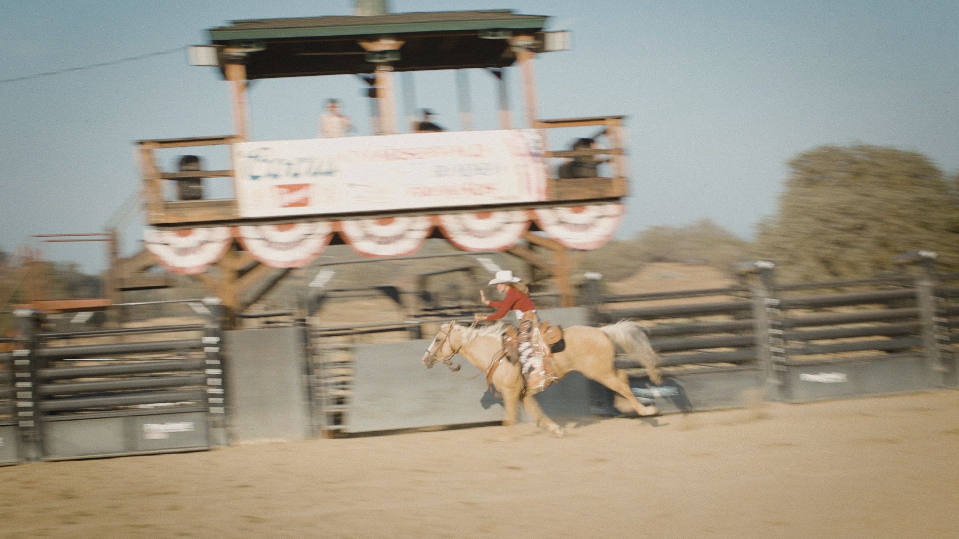 horse.png