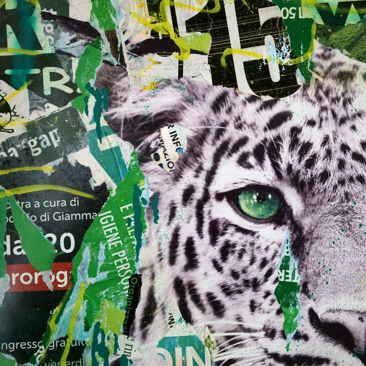 Collage