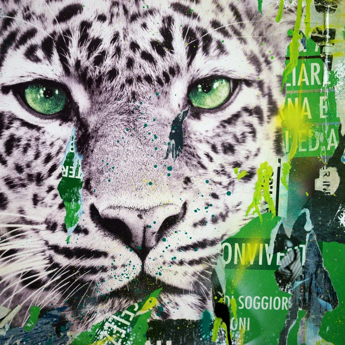 Collage