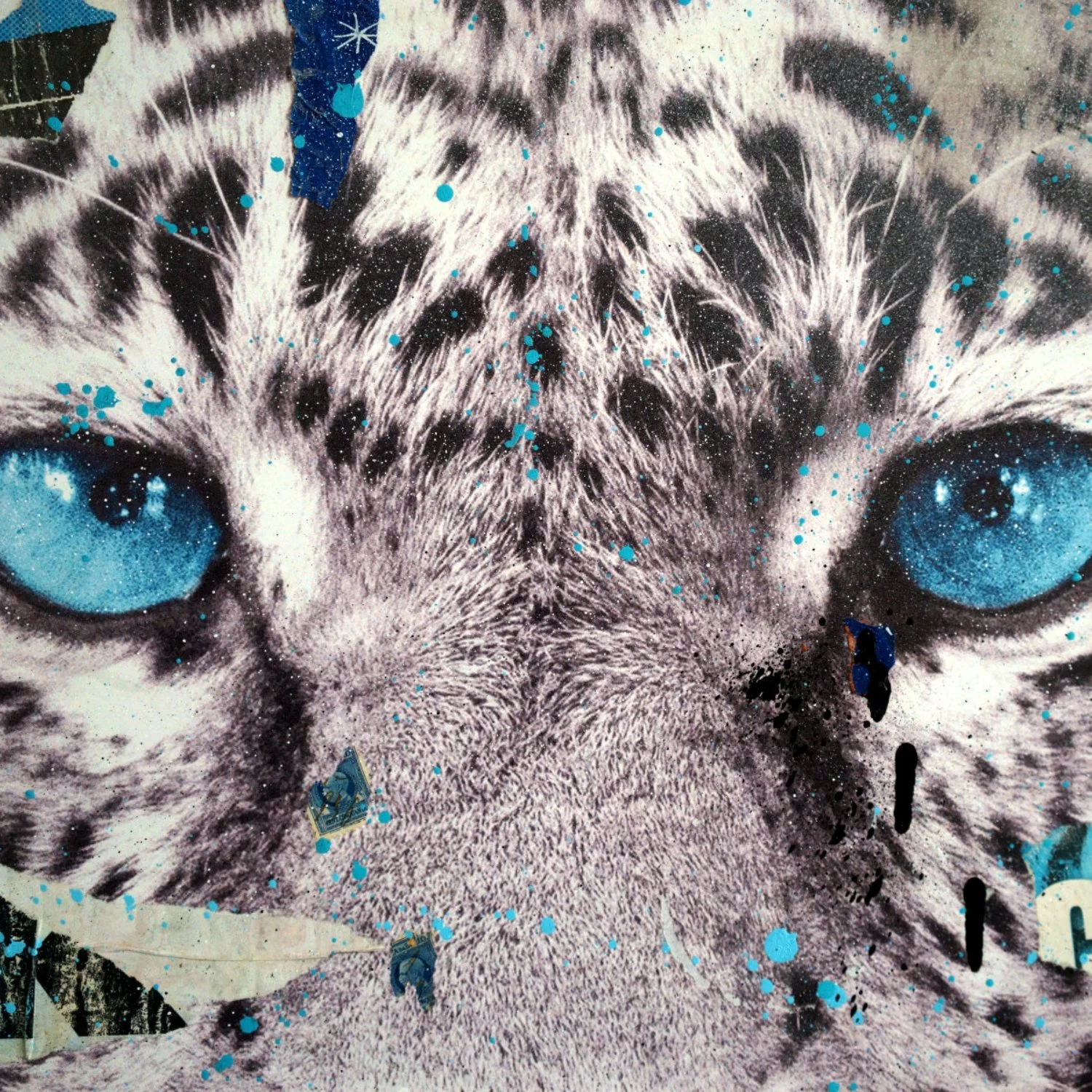 Collage