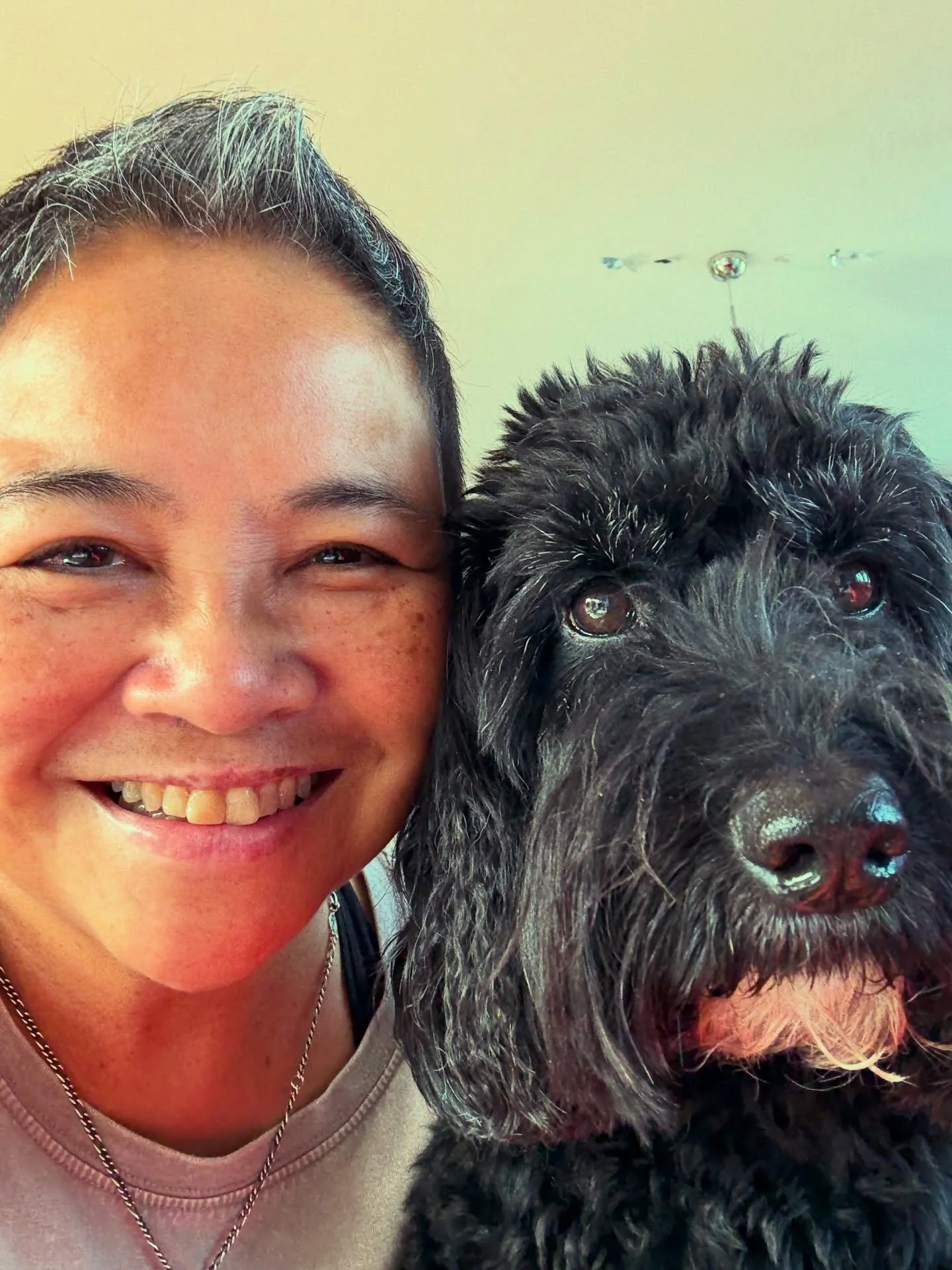 As another year draws to a close, I thought I&rsquo;d share a few highlights: 

1. Older hound - it felt important to honour this little soul who&rsquo;s been by my side for the past eleven and a half years. They say owners begin to look like their d