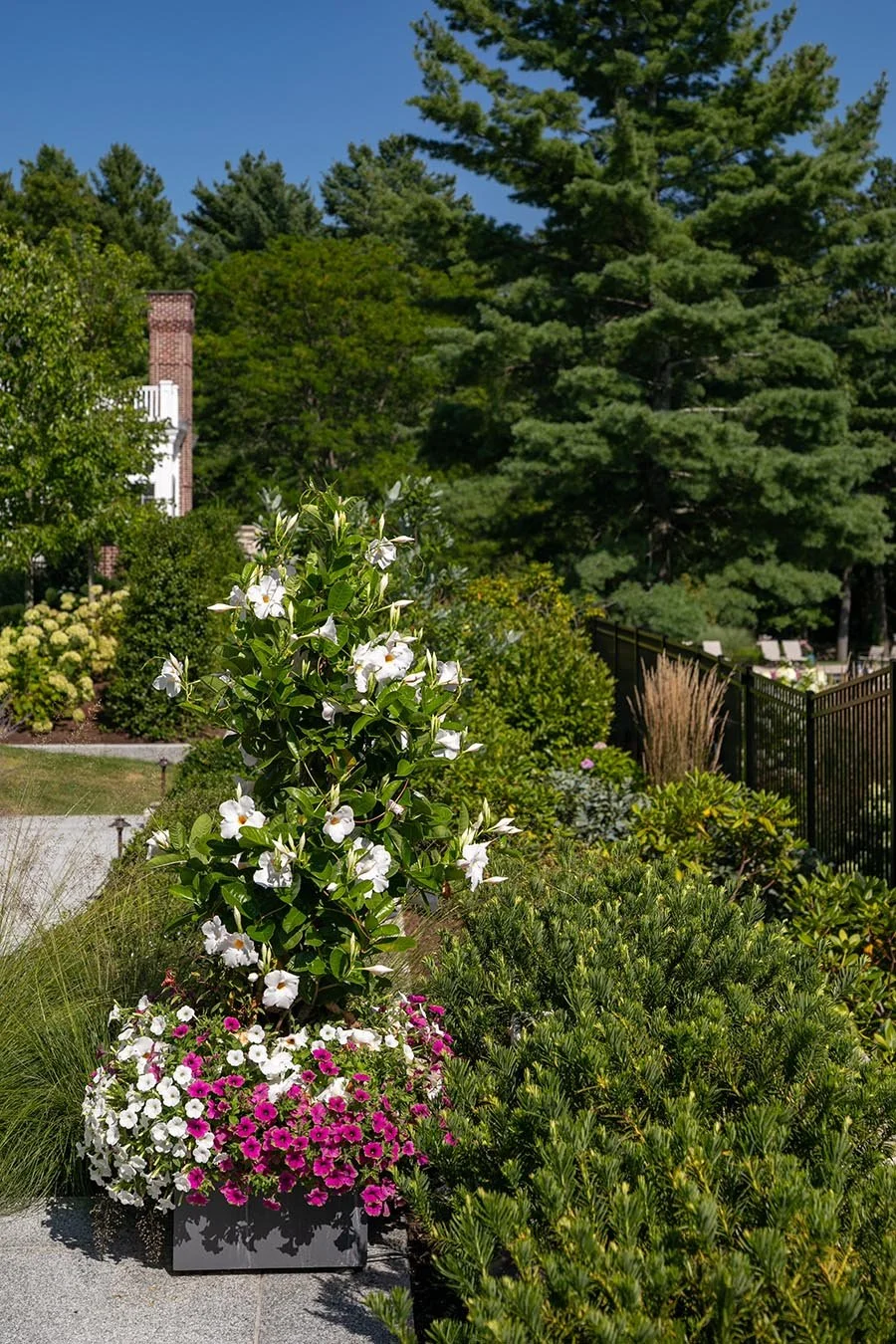 BroadviewMktg_HinghamMA_2Alexandra_124.jpg