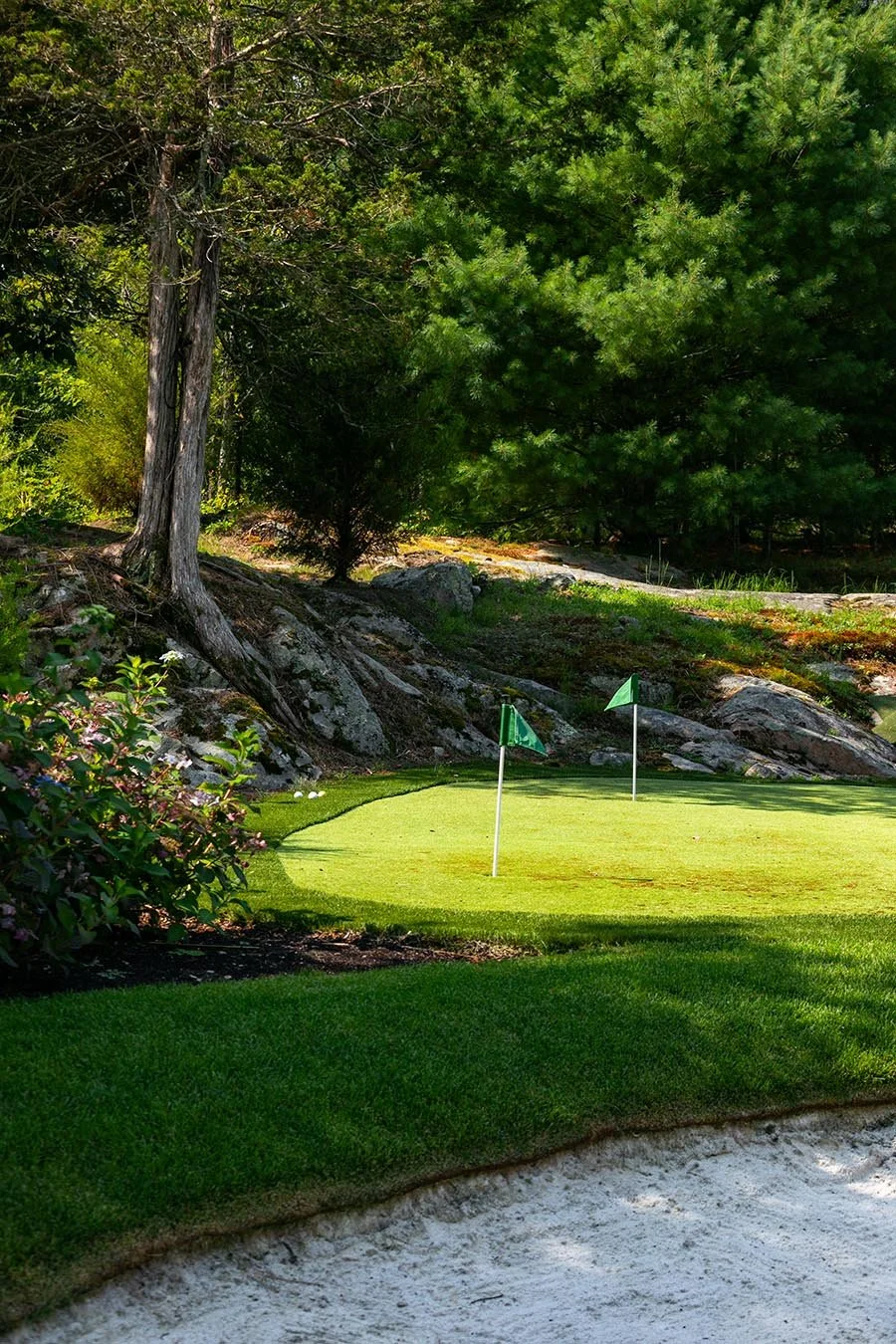 BroadviewMktg_HinghamMA_2Alexandra_047.jpg
