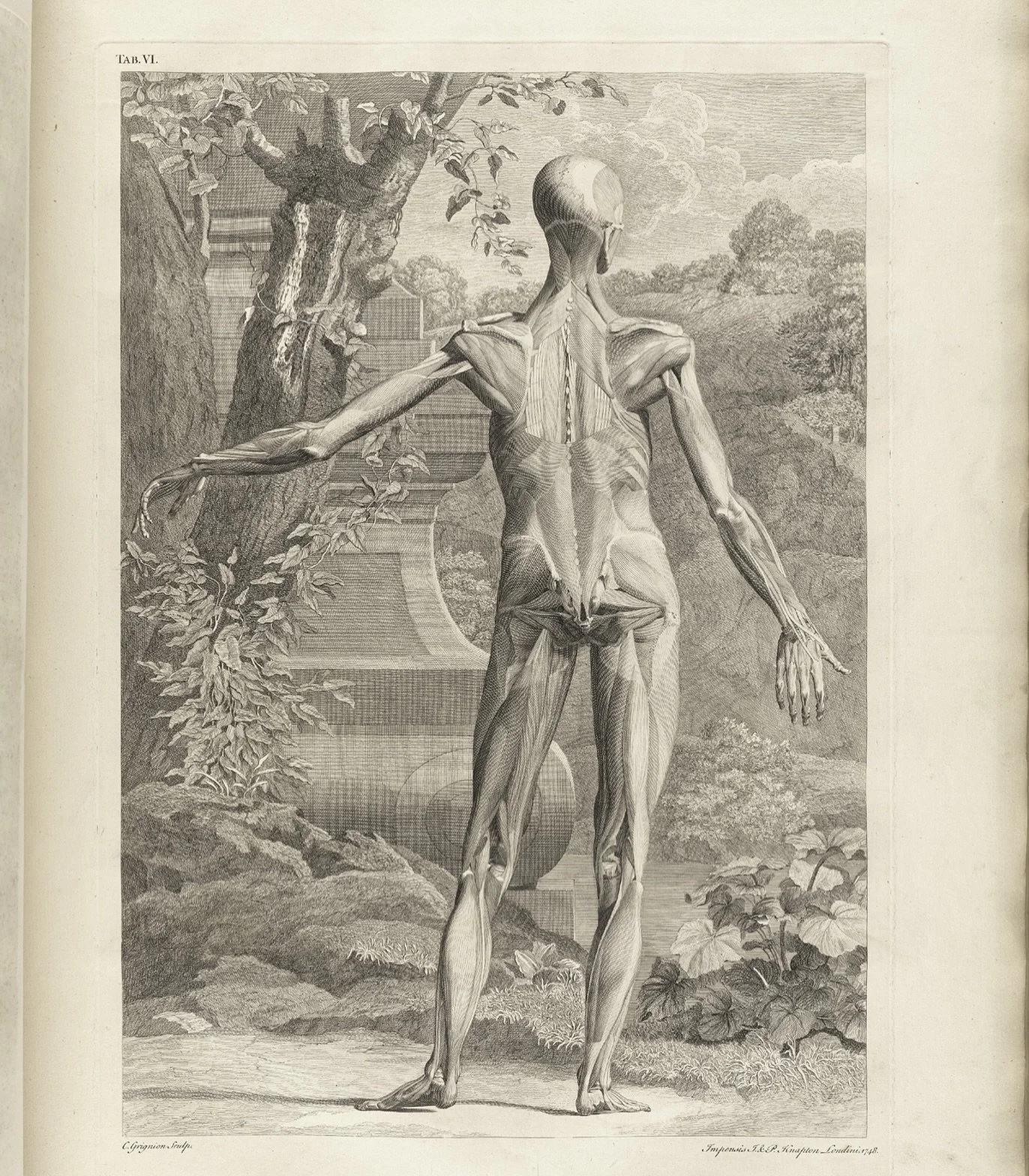 Market research: When you hear the word tensegrity, what does it make you think about? 

(If you&rsquo;ve never heard the word that&rsquo;s helpful info as well)