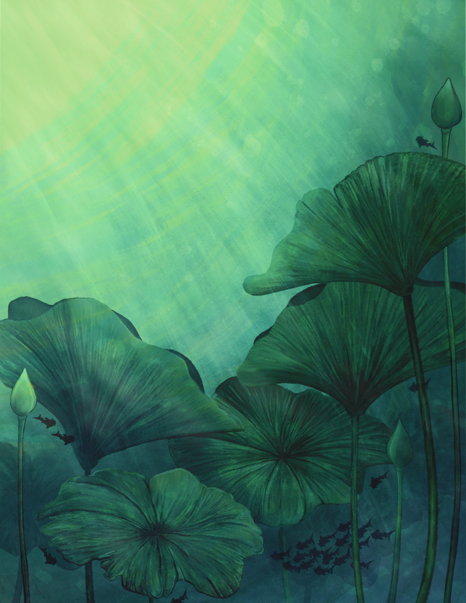 4.17 - 5.15 Hae-bok Program「綻放」系列活動