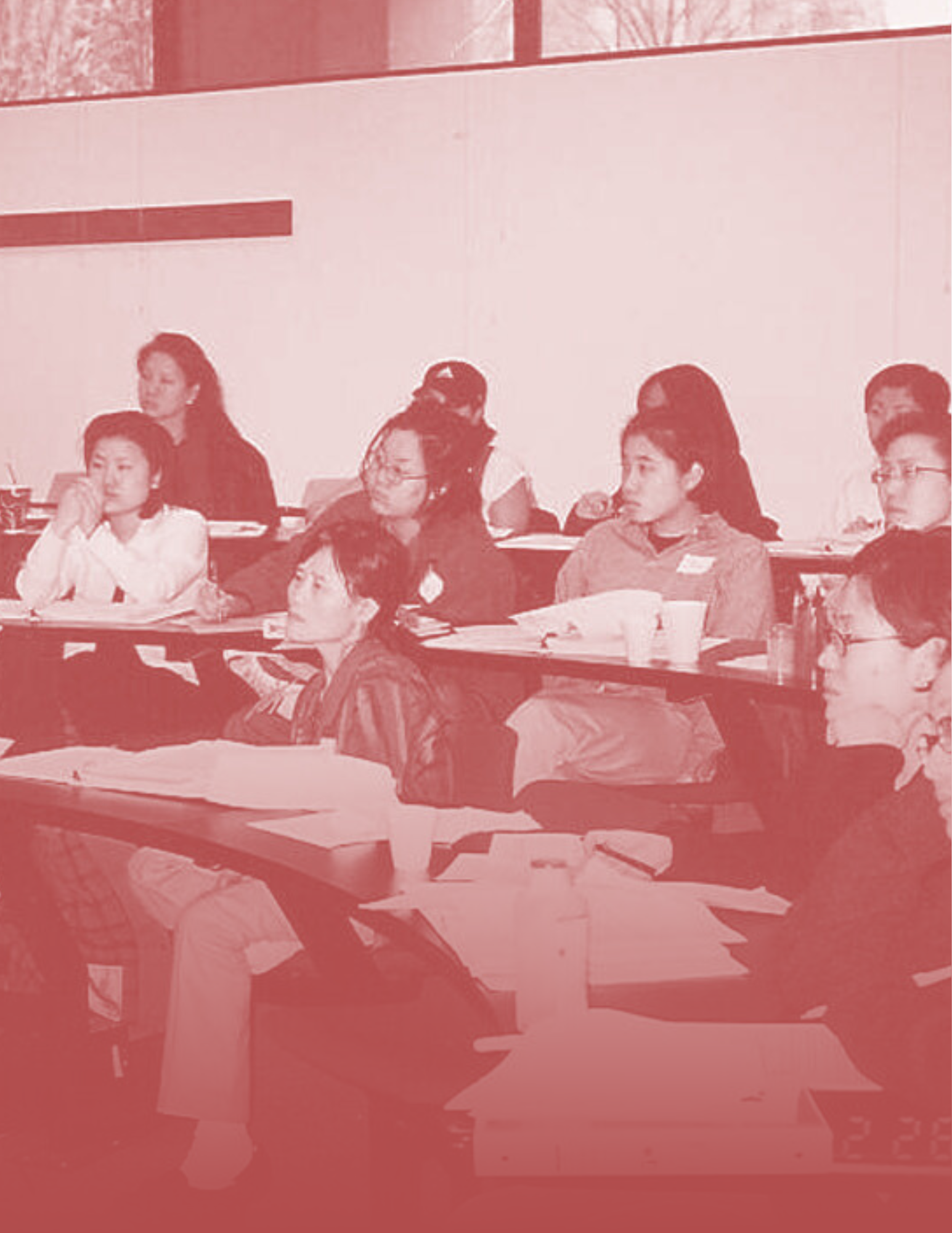 20/20 Hour Domestic Violence Training | June 2026