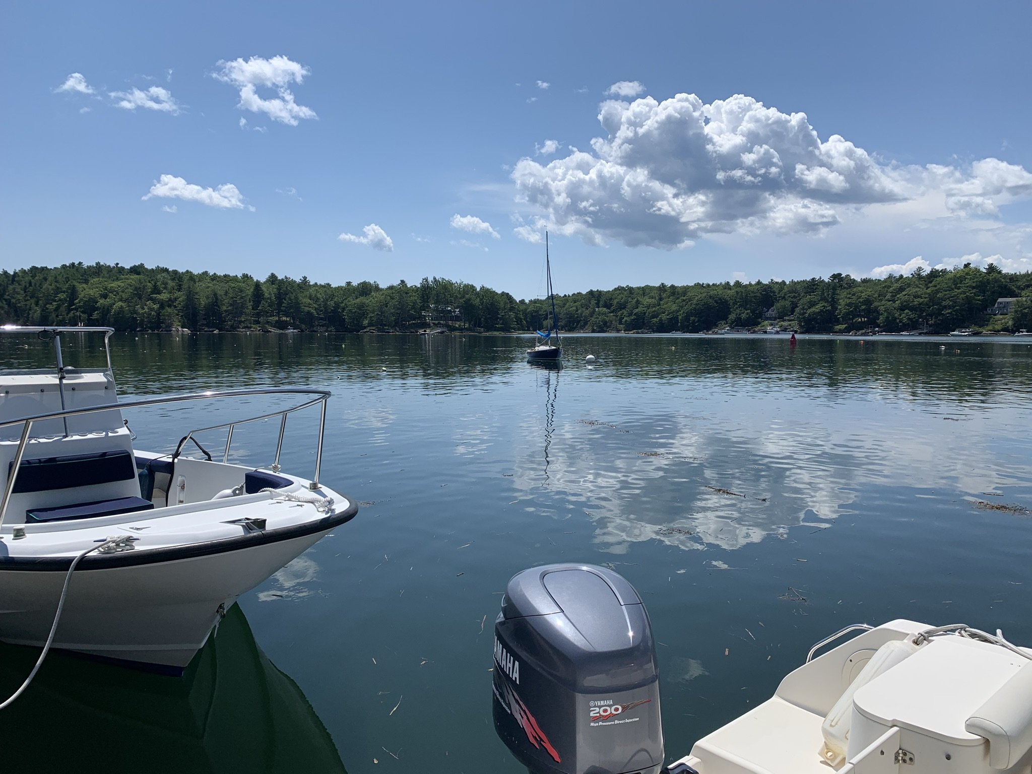 Team Wakeboarding (Intern Edition)