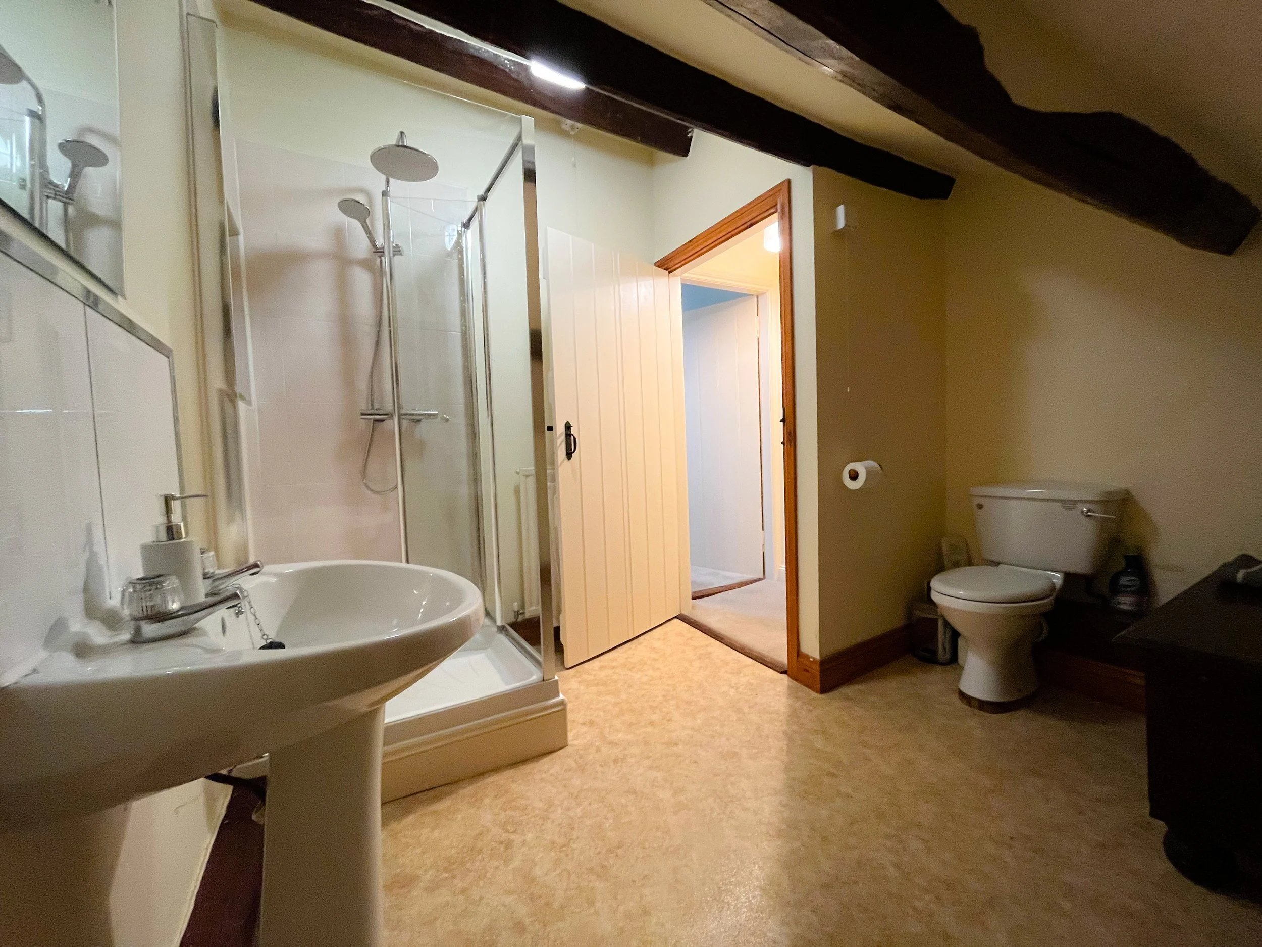 Bathroom with a sink, a shower enclosure, a toilet, and a door leading to another room.