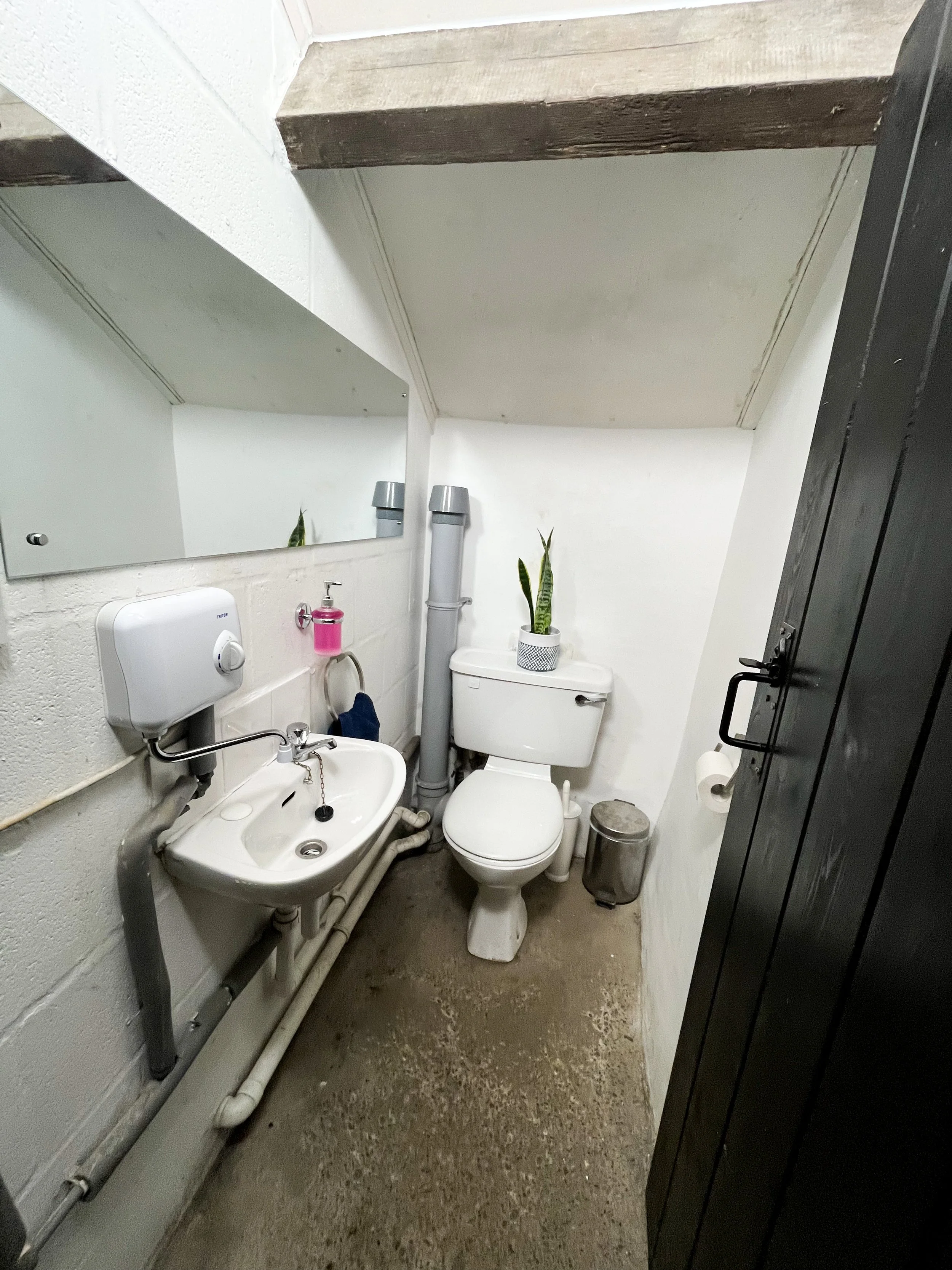 A small bathroom with a white toilet, small white sink, a mirror, and a black cabinet. There are two potted plants on top of the toilet tank. A pink soap dispenser is next to the sink, and a trash can is beside the toilet. Exposed pipes are under the
