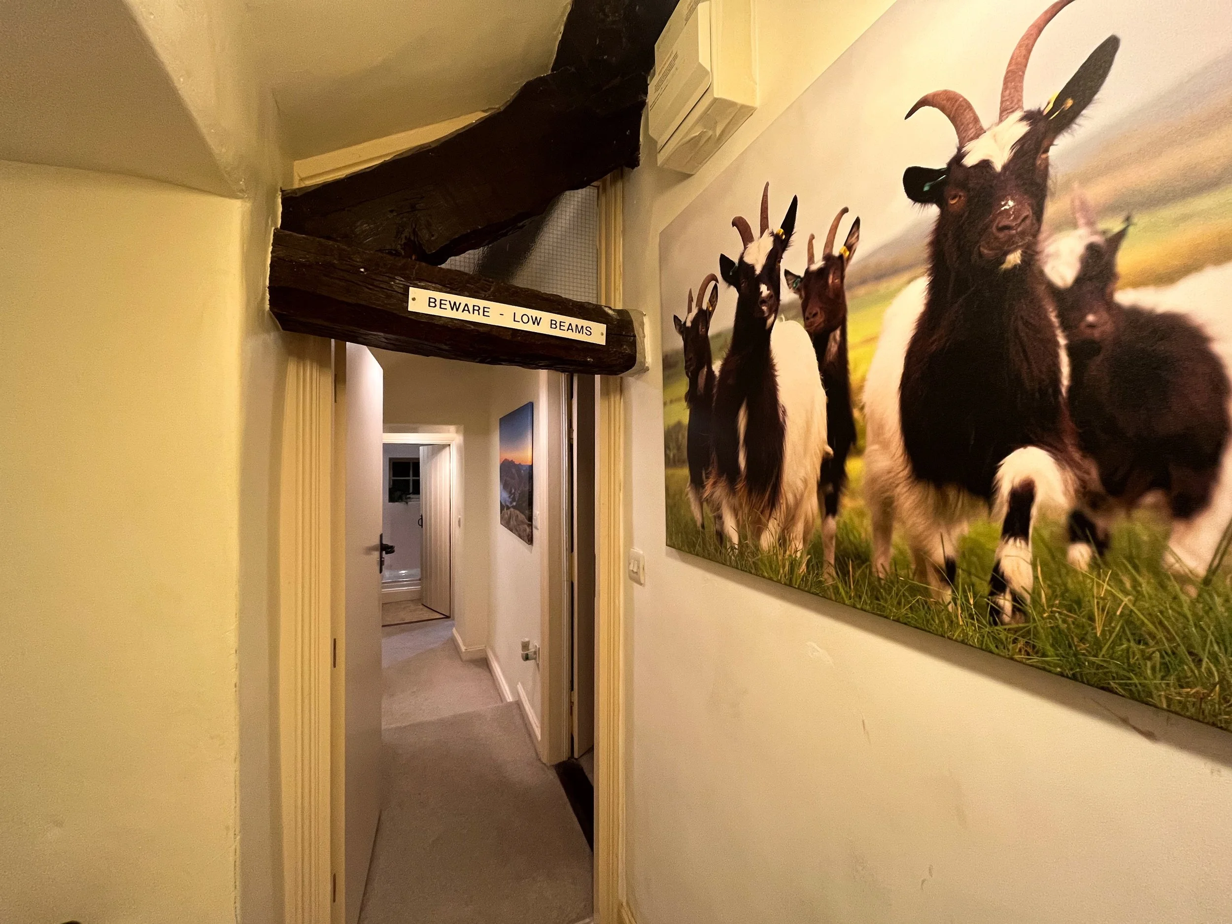 A hallway with a large picture of goats on the right wall and a wooden beam overhead with a sign that reads 'BEWARE - LOW BEAMS'.