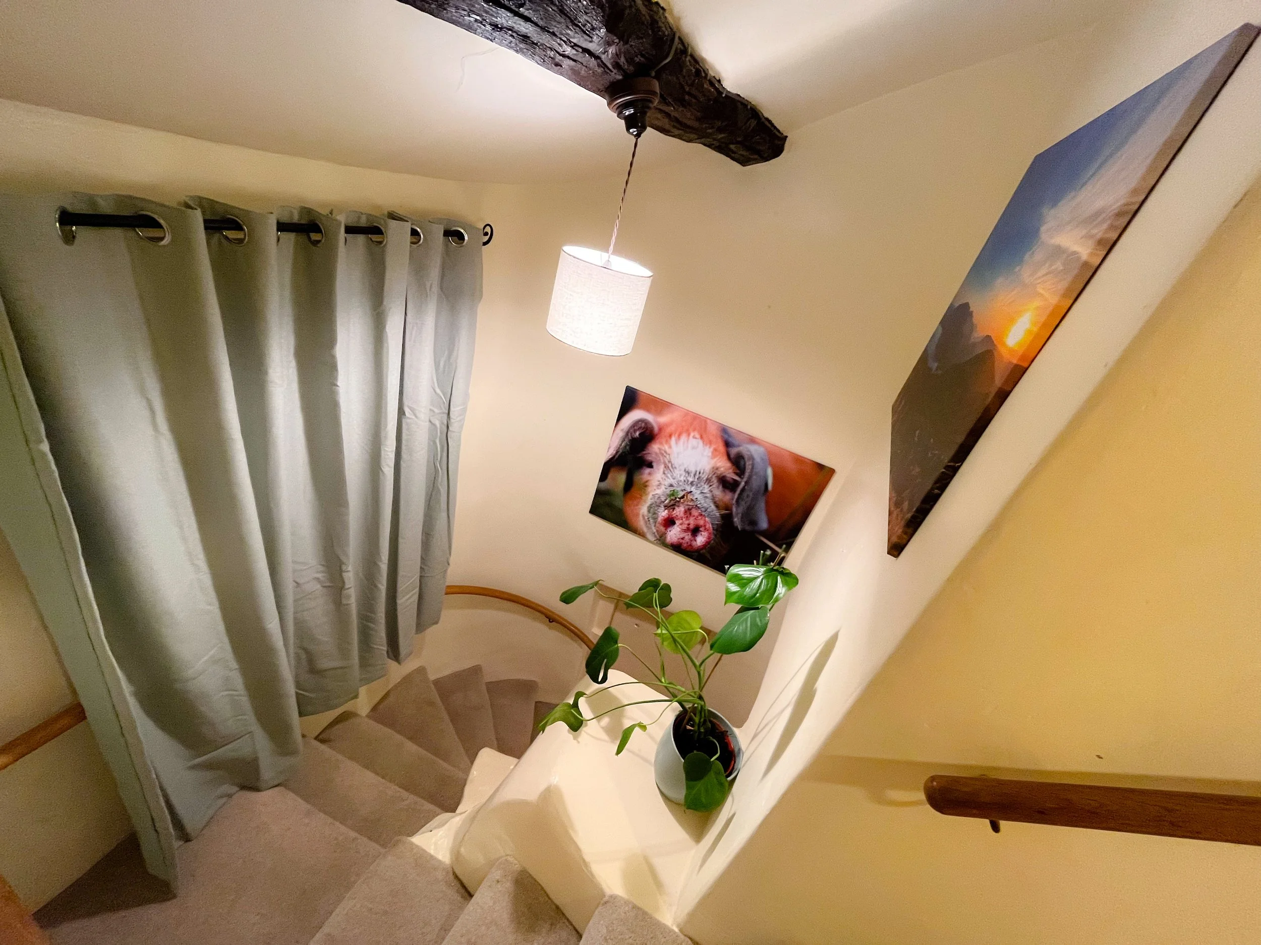 View of a staircase landing with a beige carpet, a potted plant, wall art including a photograph of a pig and a landscape, a window with gray curtains, and a hanging ceiling light, taken from above.
