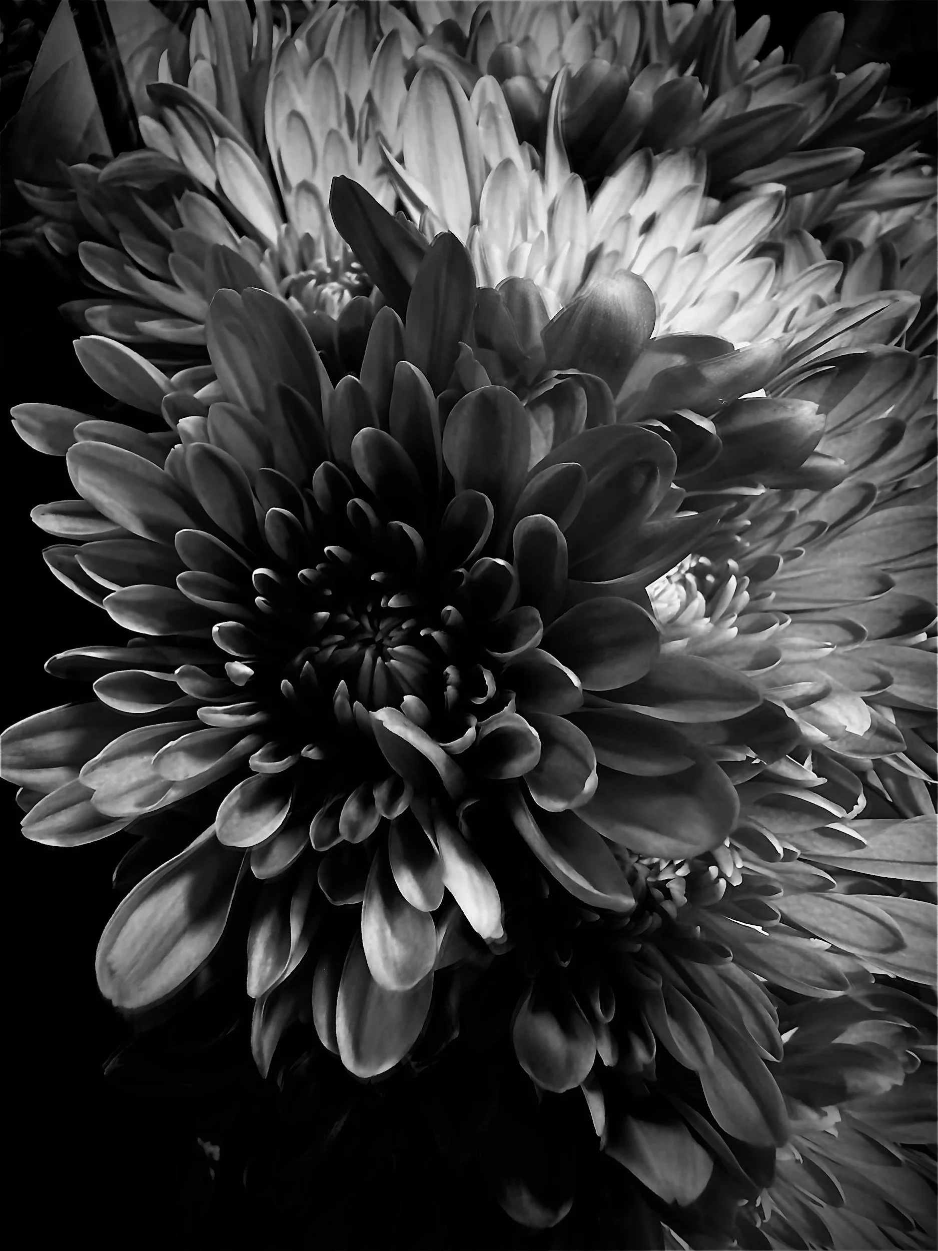 Geometric drawing of an outline square with sections divided by vertical, horizontal, and half circle lines.