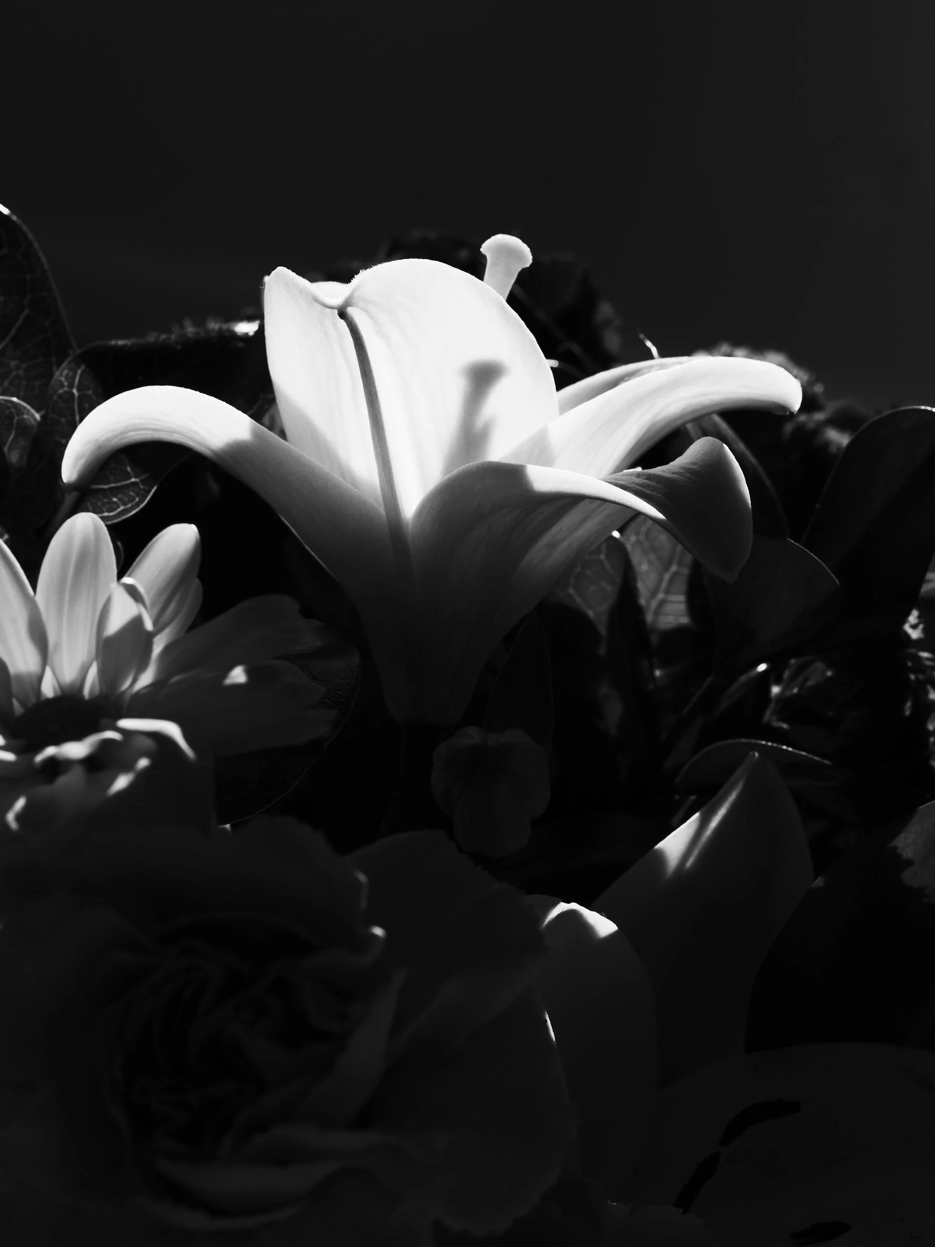 Geometric drawing of an outline square with sections divided by vertical, horizontal, and diagonal lines.