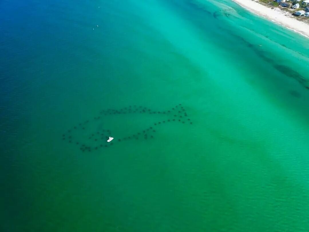 Did you know we have sculpture snorkel reefs that dot the coast along 30A? Swipe to check them out!&nbsp;😍 

These reefs not only help to create diverse habitats for marine life, but they are also close enough to the shore so that snorkelers and vis