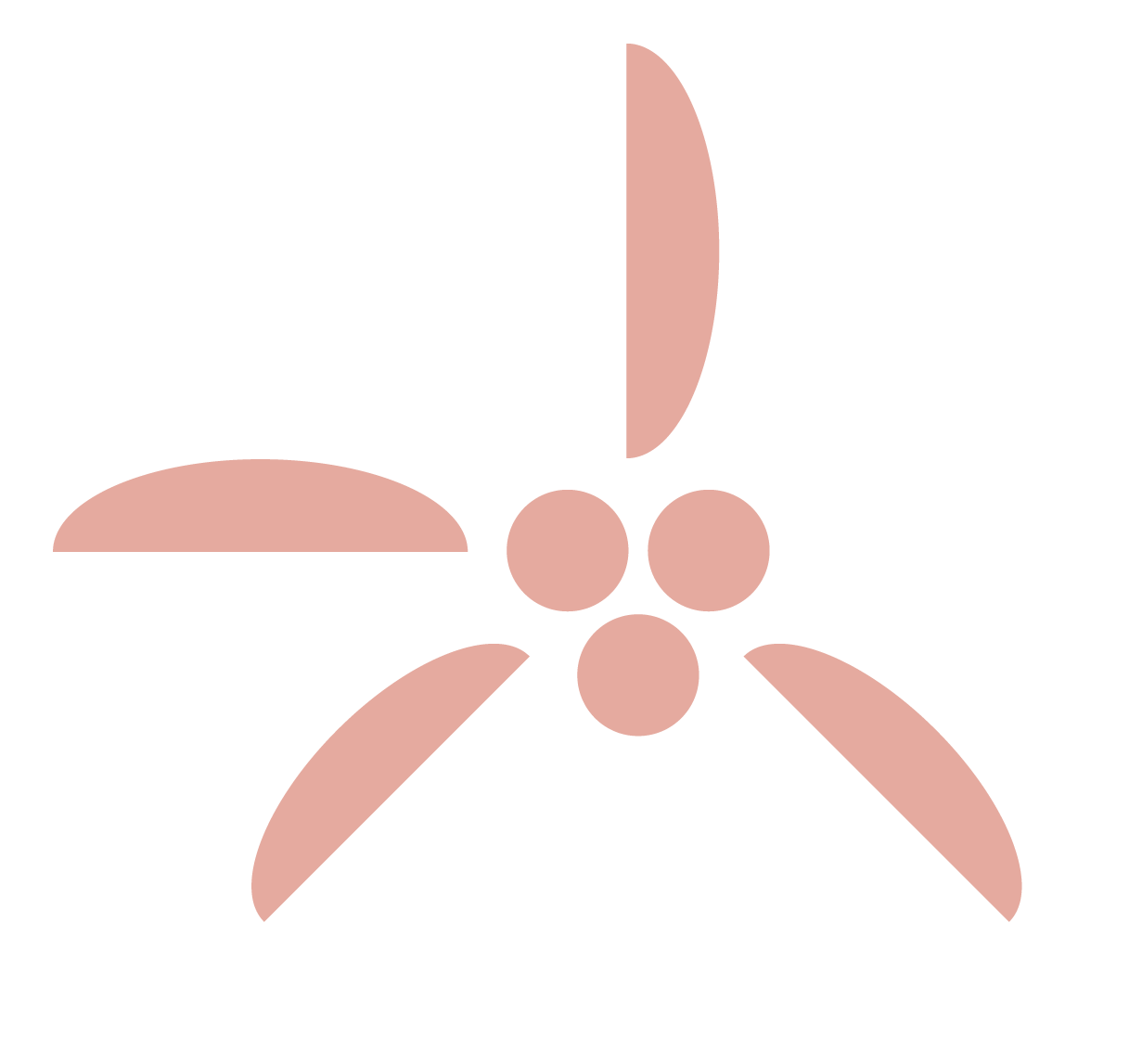 About Our Kona Coffee Farm — White Dog Coffee