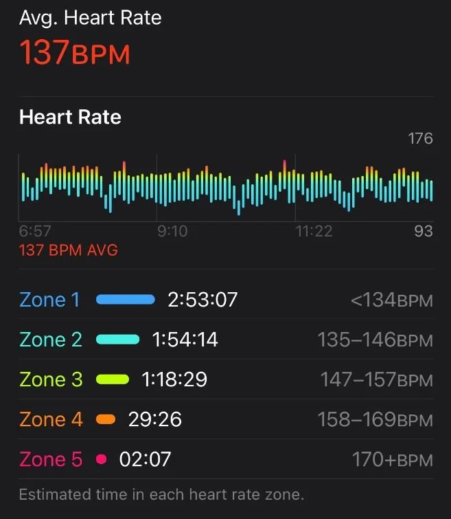 Screenshot of heart rate zones