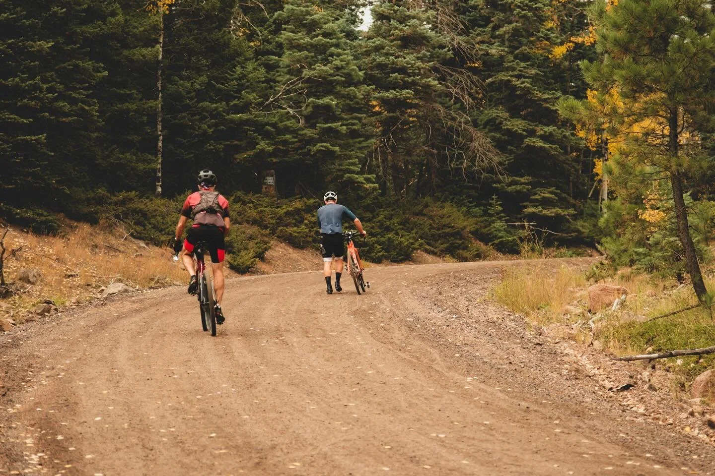 Whatever pace&hellip;persevere. 🫶 

📸 @s_tribby