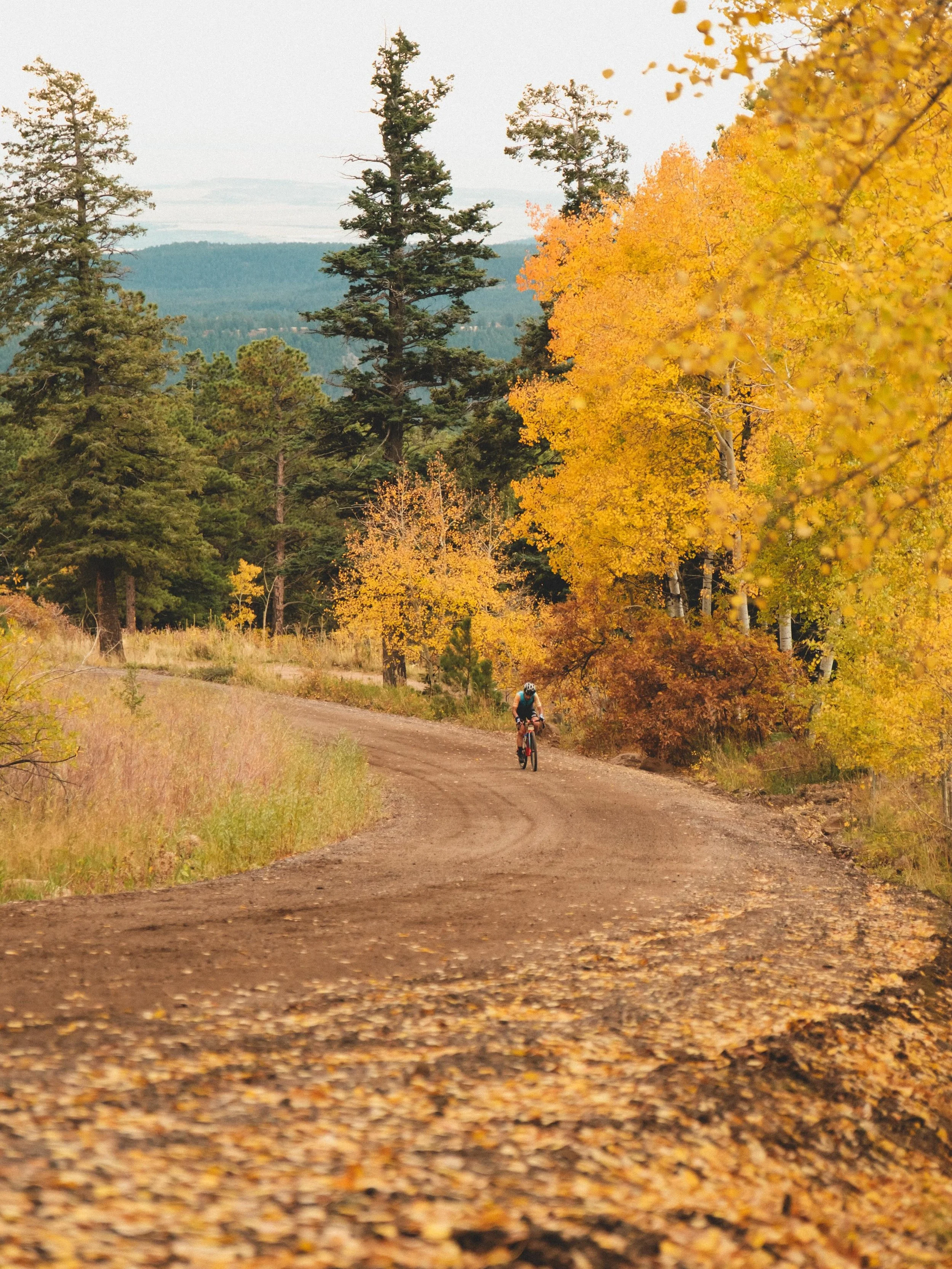 Infamous and incredible, Twelvemile is the monstrous beauty of a climb halfway into our long course. Hill climb podiums with cash prizes for this segment are BACK this year. Stay tuned for more info&hellip;and tag the folks you think will take the ca