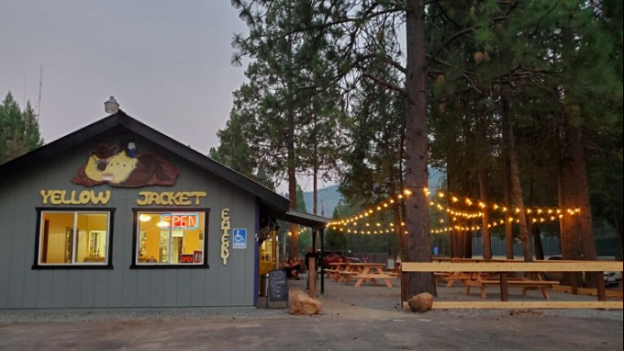 A small restaurant named Yellow Jacket with a cartoon bee logo, surrounded by tall pine trees, lit by string lights, with outdoor seating including picnic tables, and a blue building with large windows.