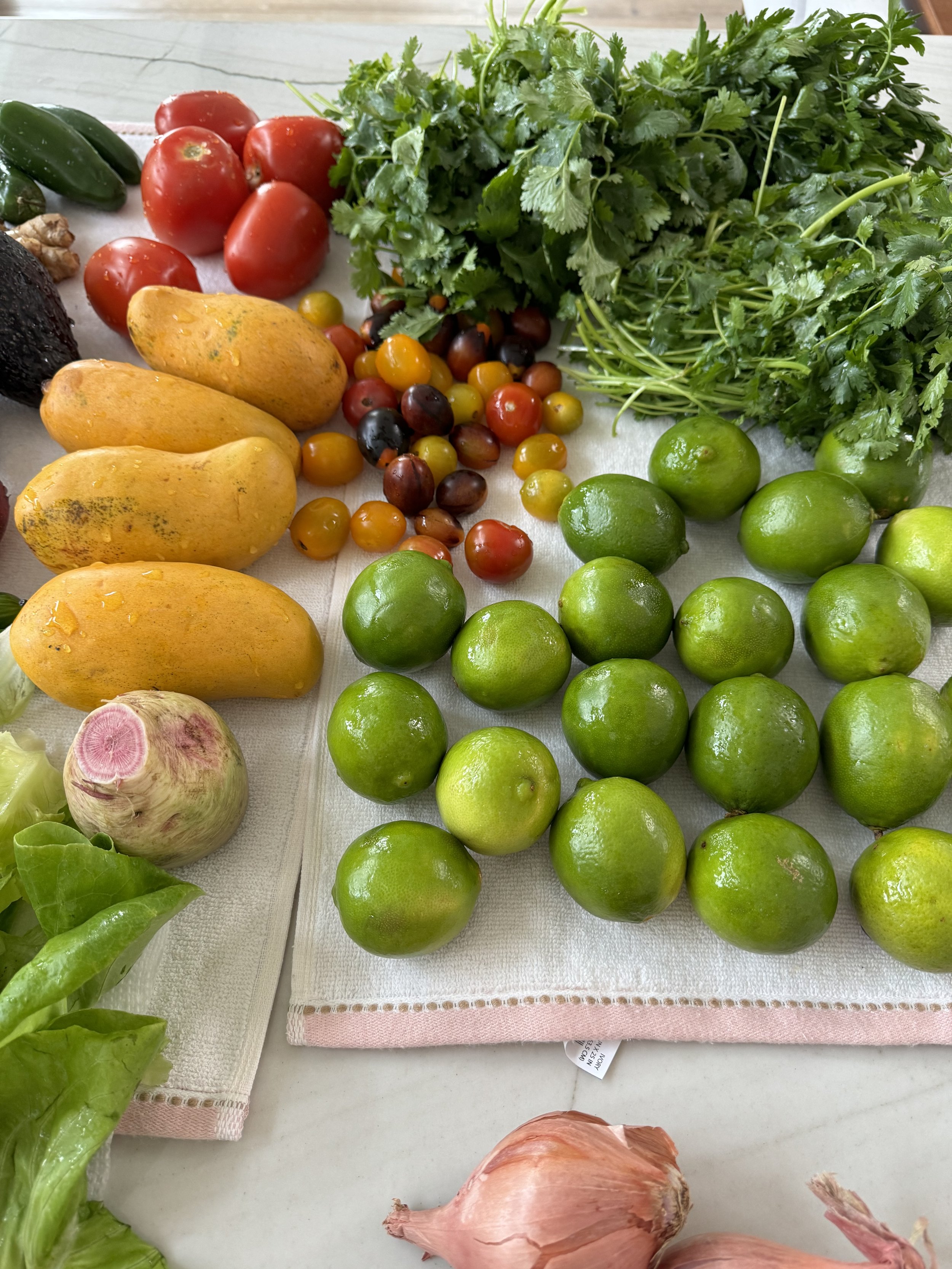 Learn to Cook, Basics of Cooking Program