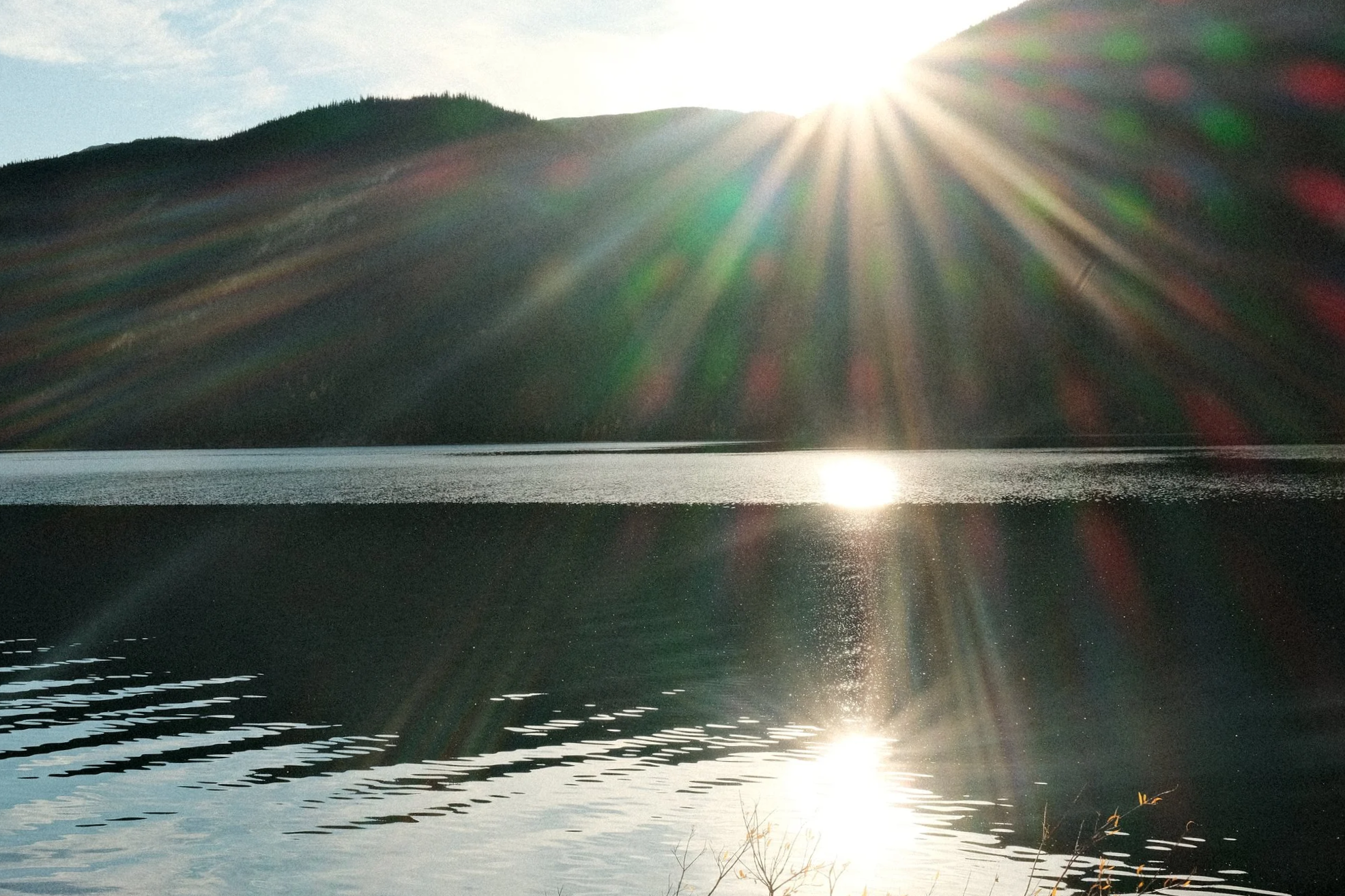 DSCF0424.png
