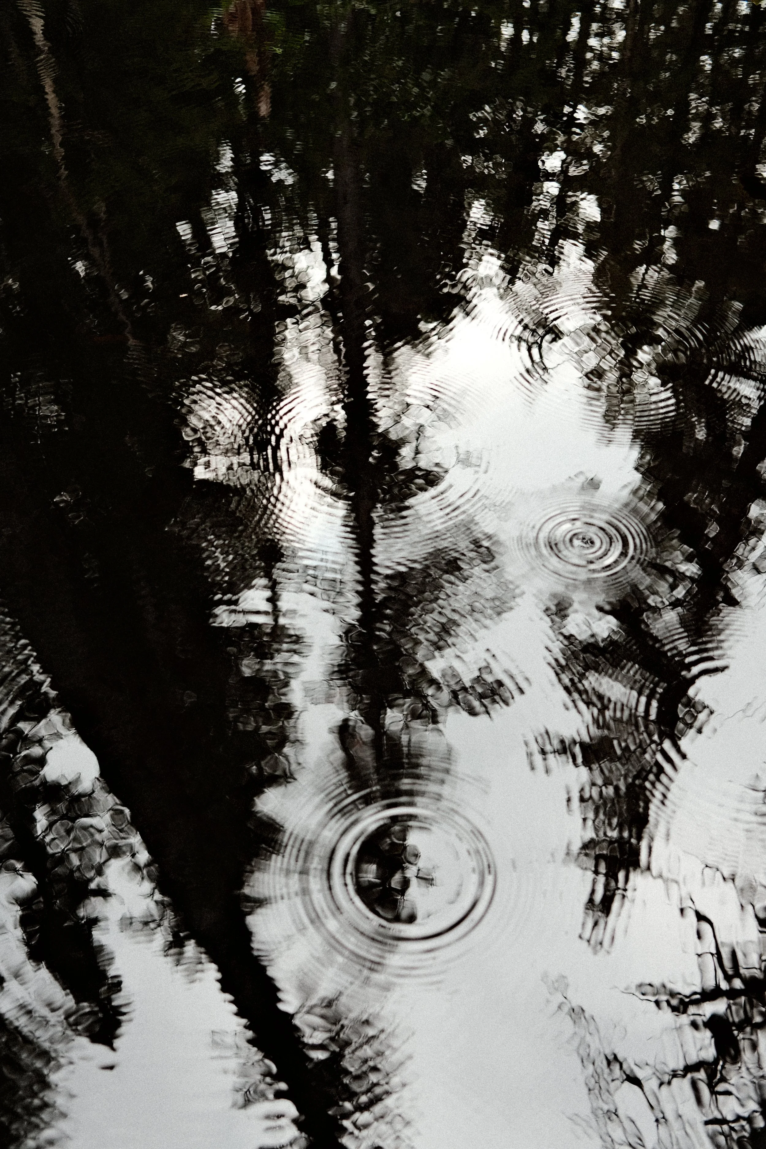 DSCF9435.JPG