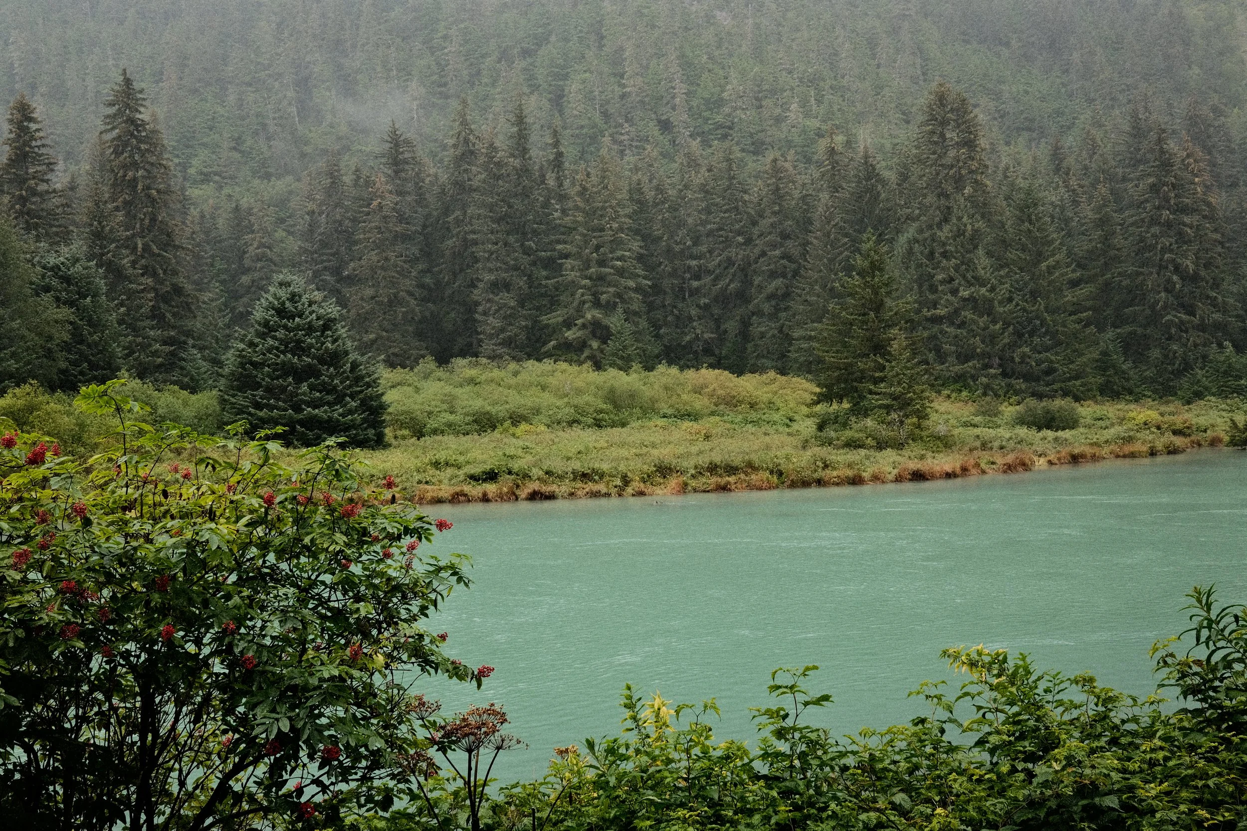 DSCF9451.JPG