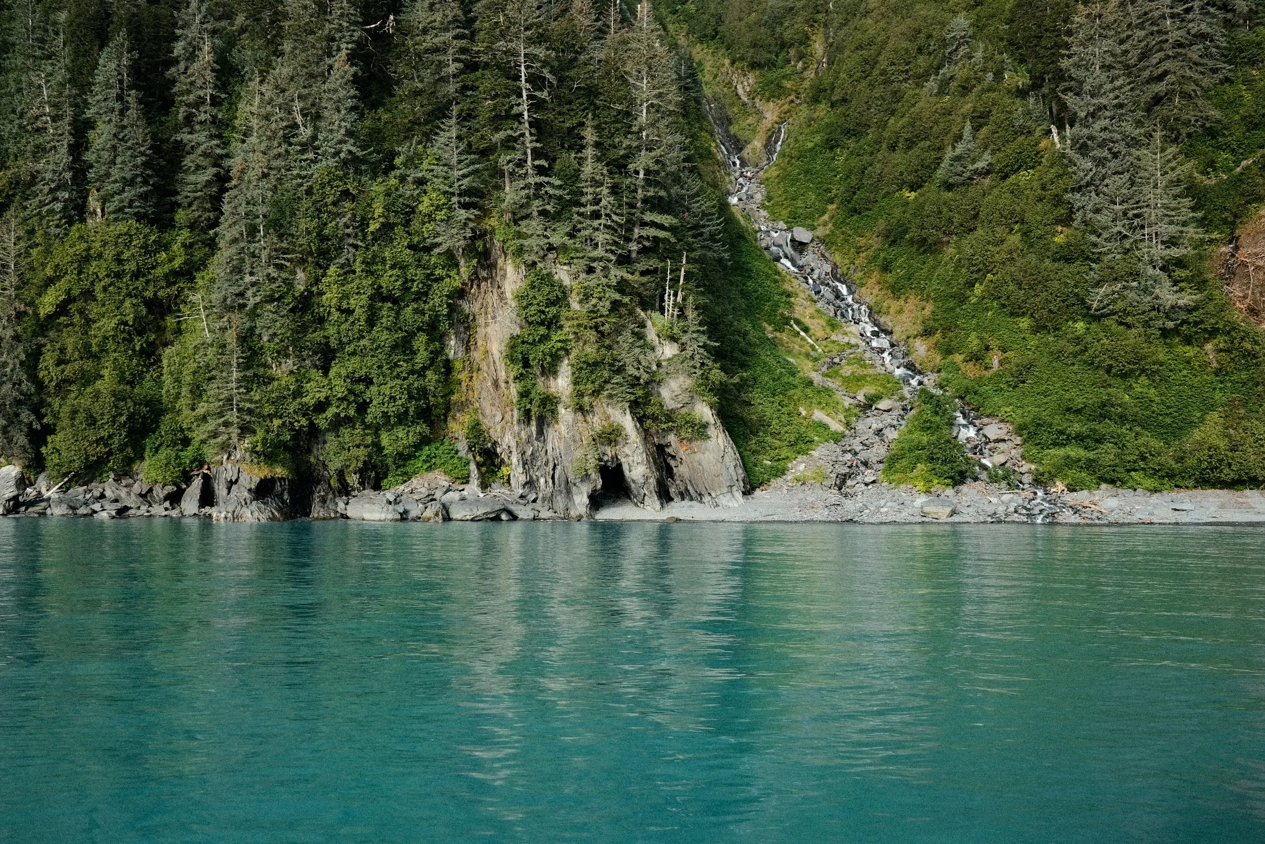 DSCF0005.JPG