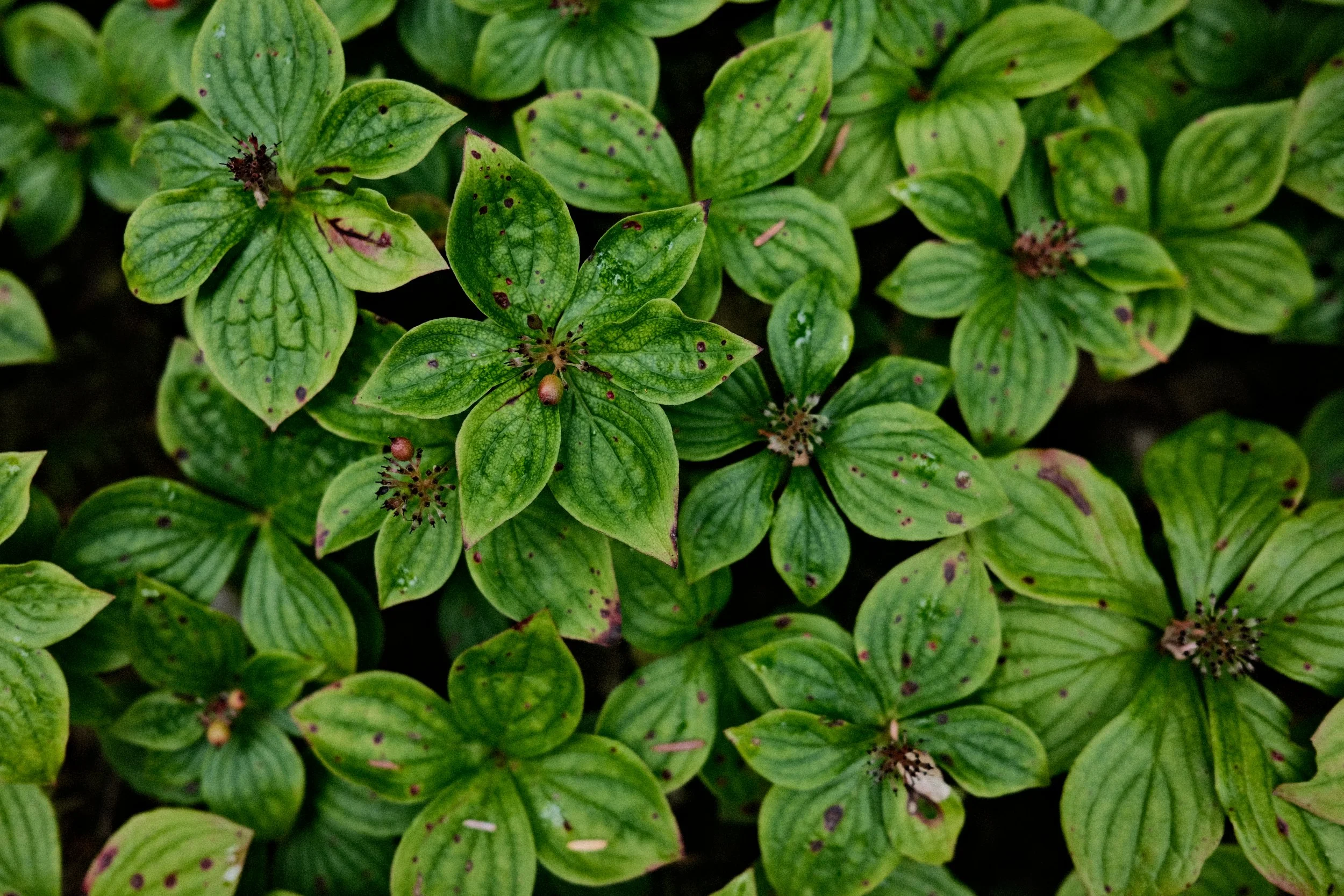 DSCF9439.JPG