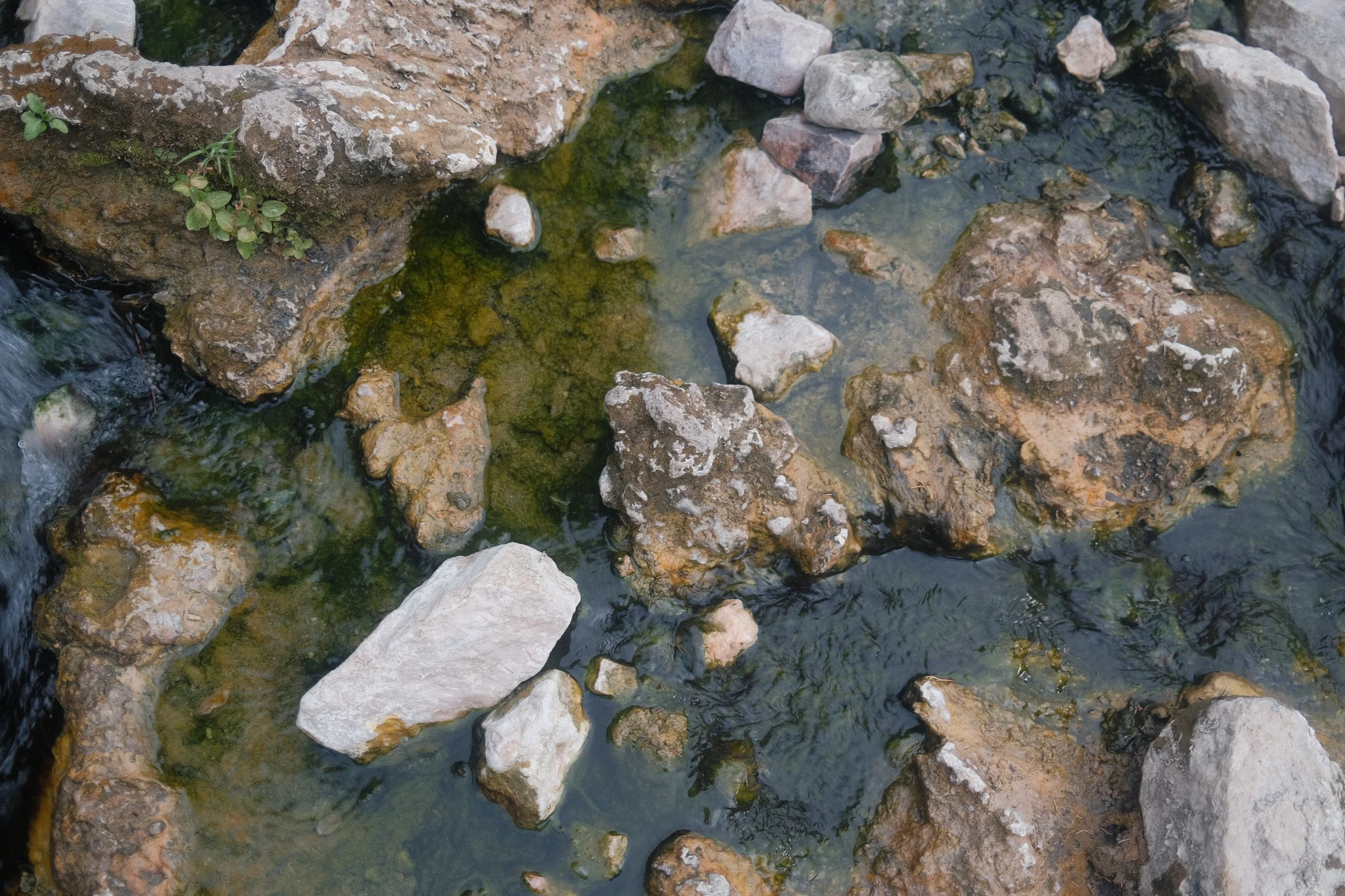DSCF8777.JPG