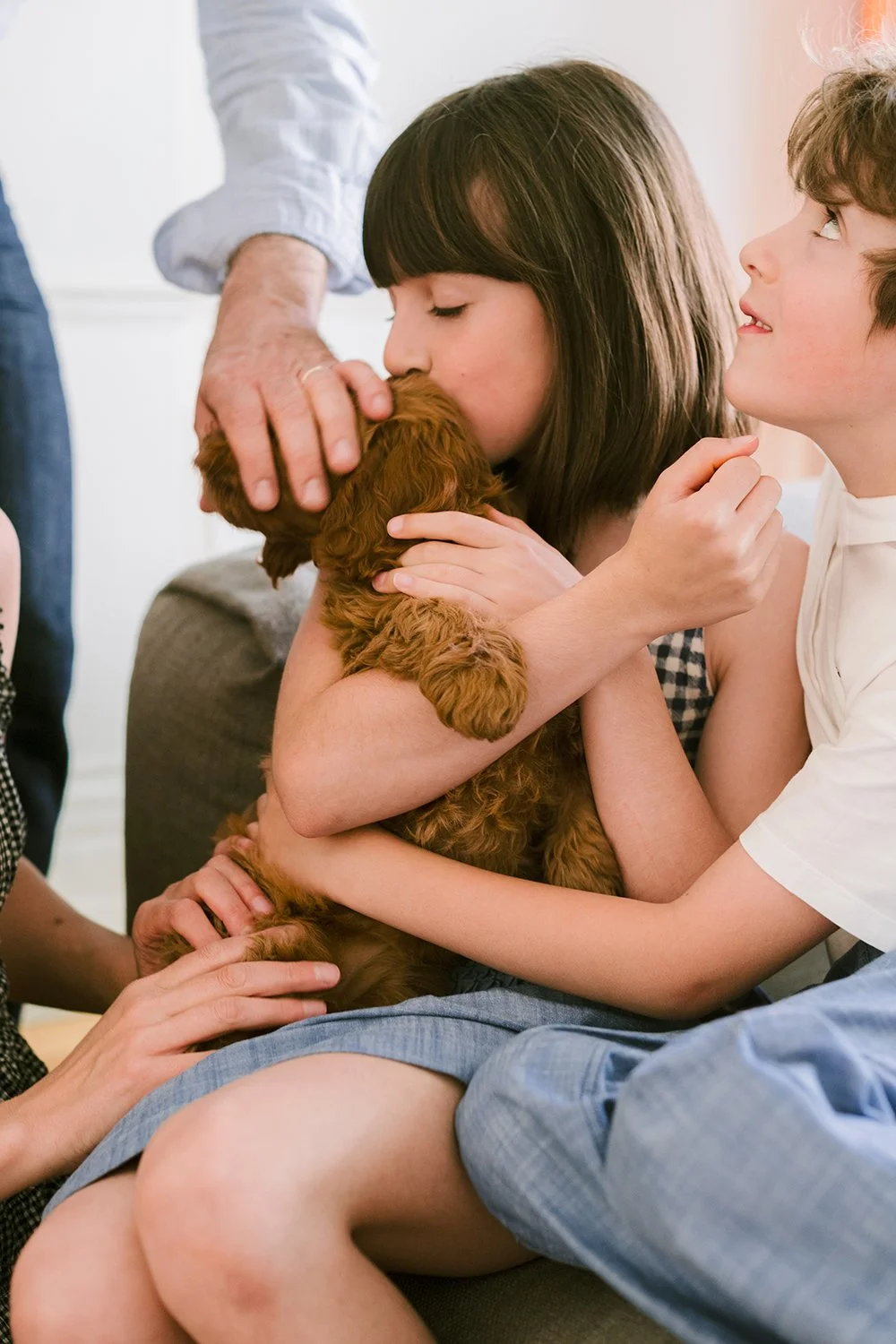 Two children holding a brown puppy, one girl kissing the puppy and a boy looking at it, while an adult's hand gently pets the puppy.