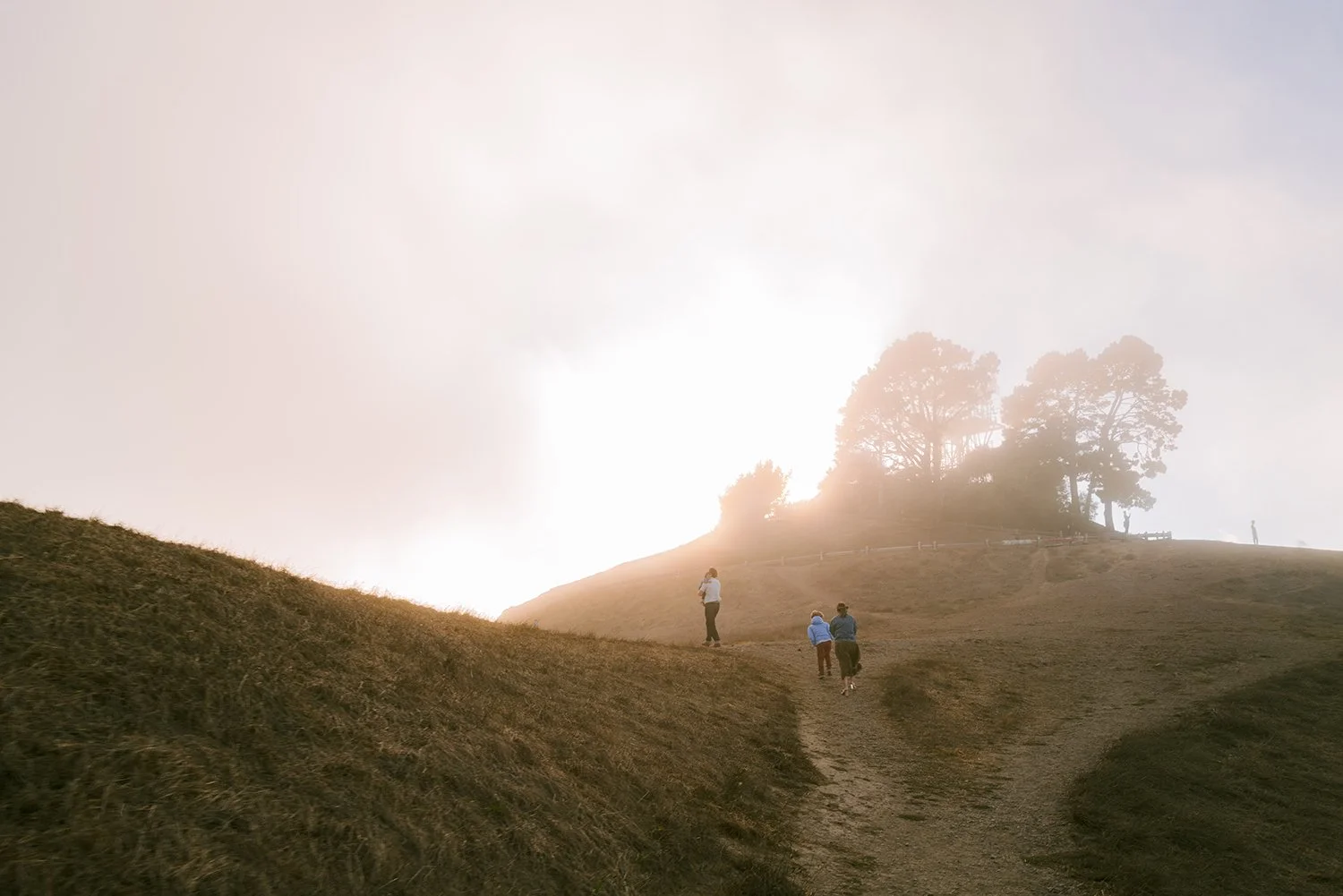 People hiking up a dirt path on a hillside toward a small cluster of trees silhouetted against a bright sky at sunrise or sunset.