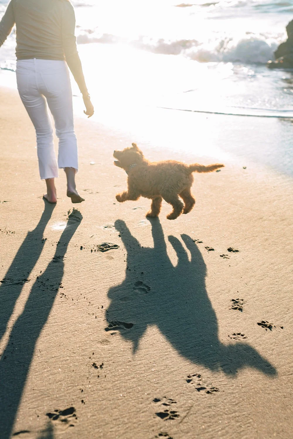 A woman walking a small dog on a sandy beach during sunset, with the sun casting long shadows and waves in the background.