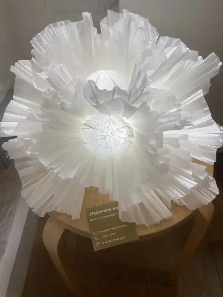Madeleine Smith Paper Sculpture