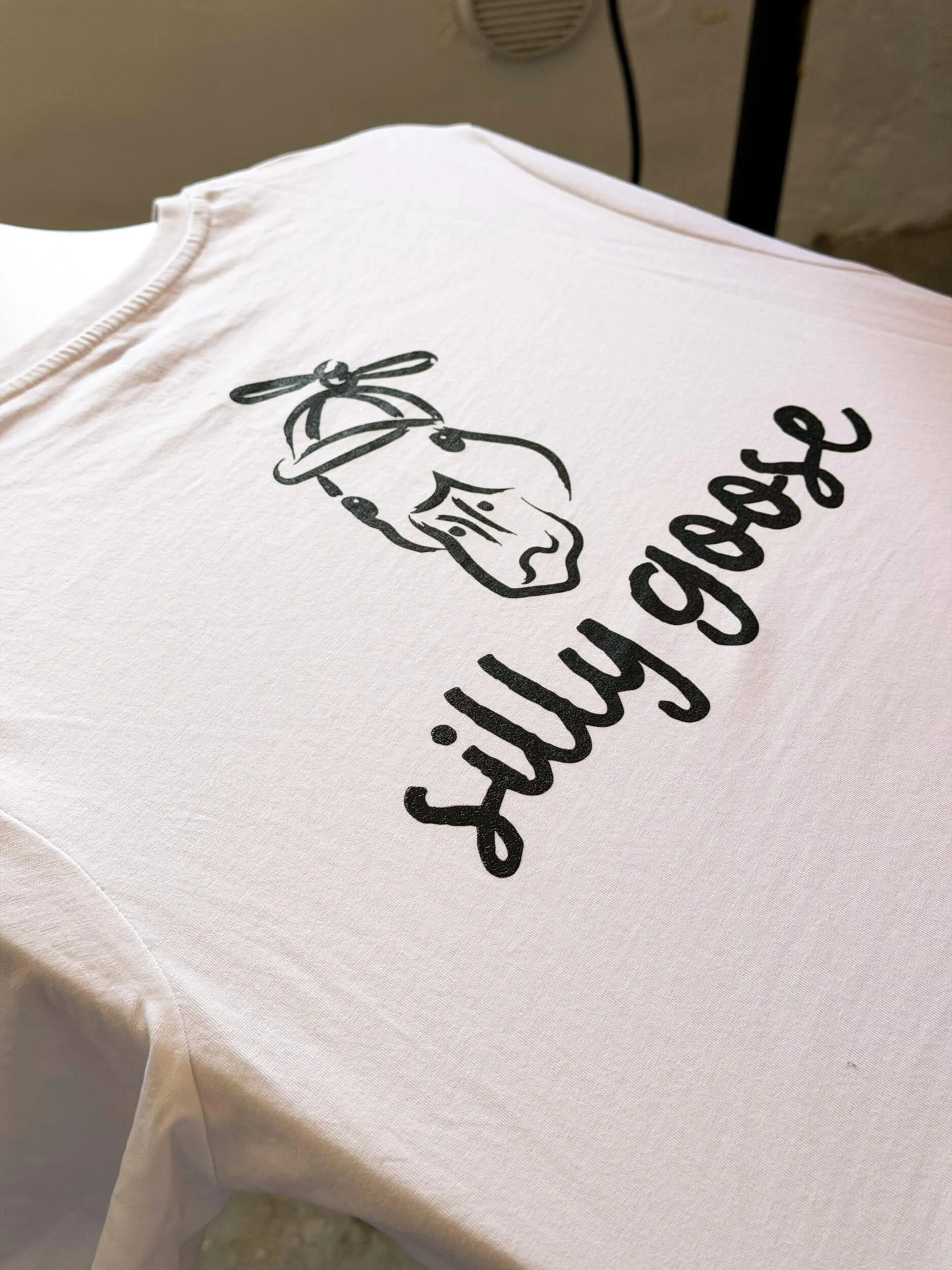 Silly Goose Ltd