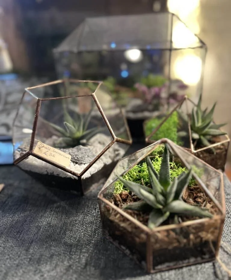 August Glass Designs.jpeg