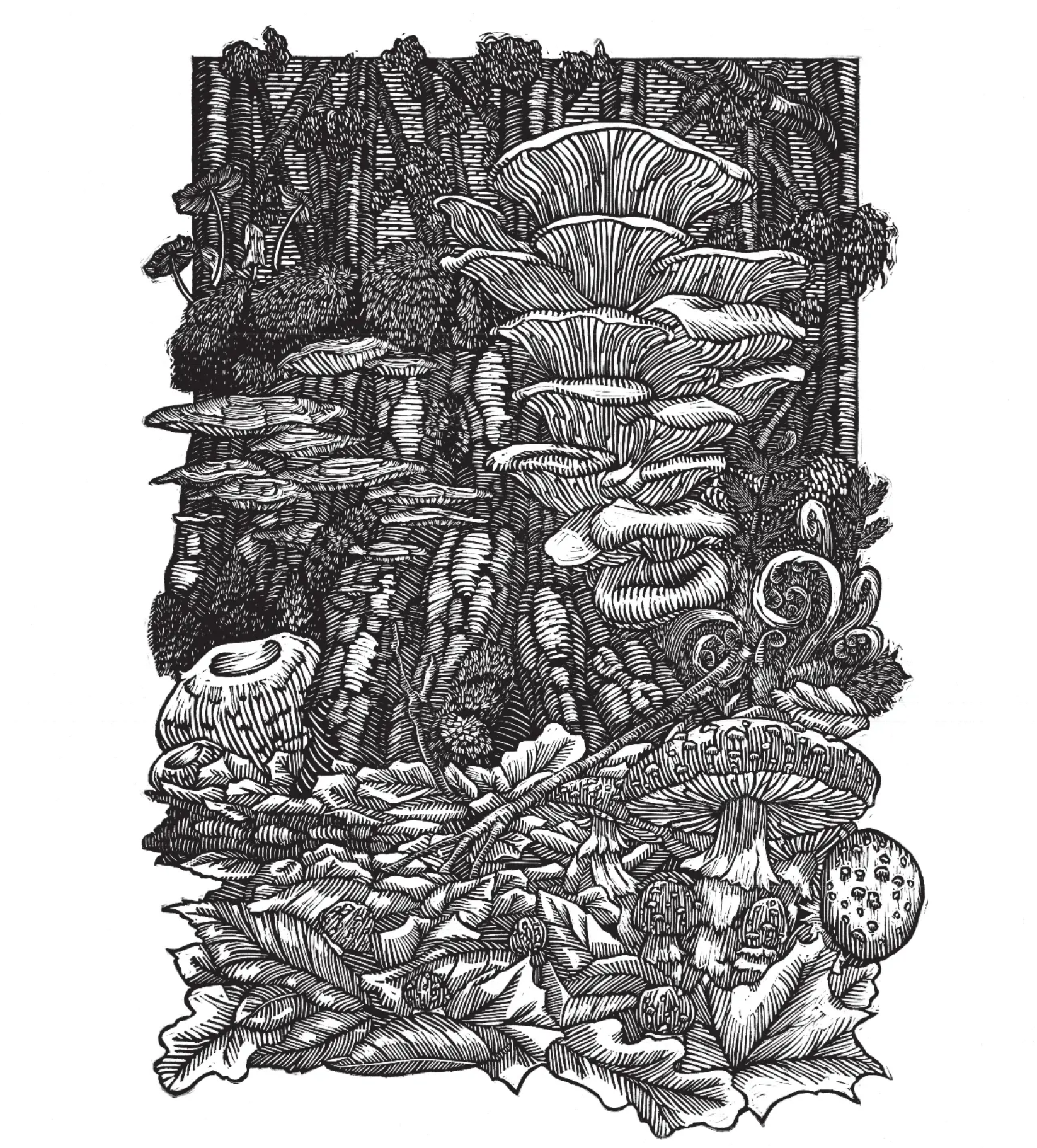Ollie Inks Things