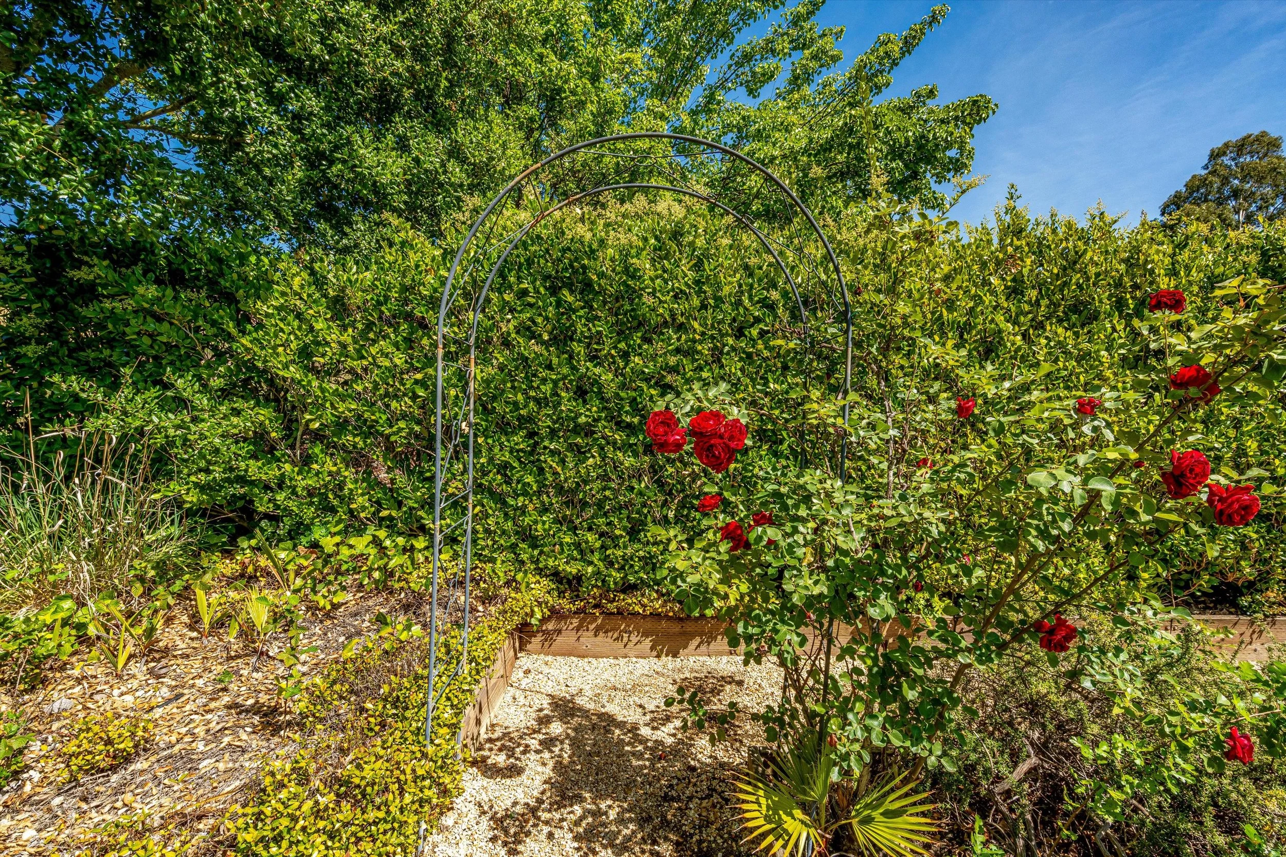 45.0 - 091-DSC00314.jpg