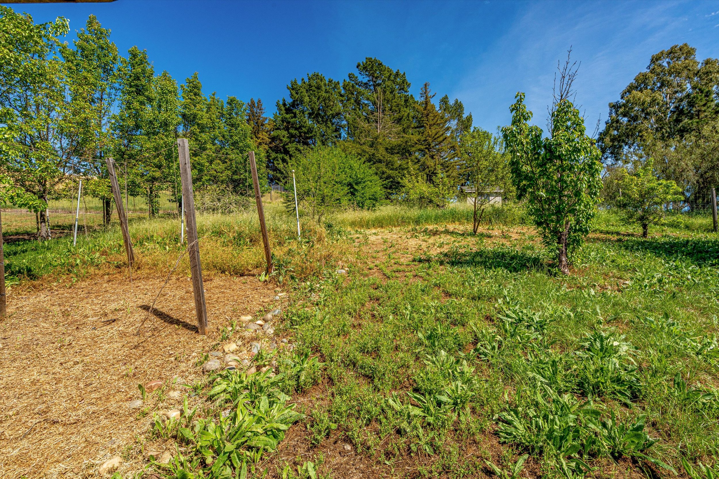 46.0 - 098-DSC00321.jpg