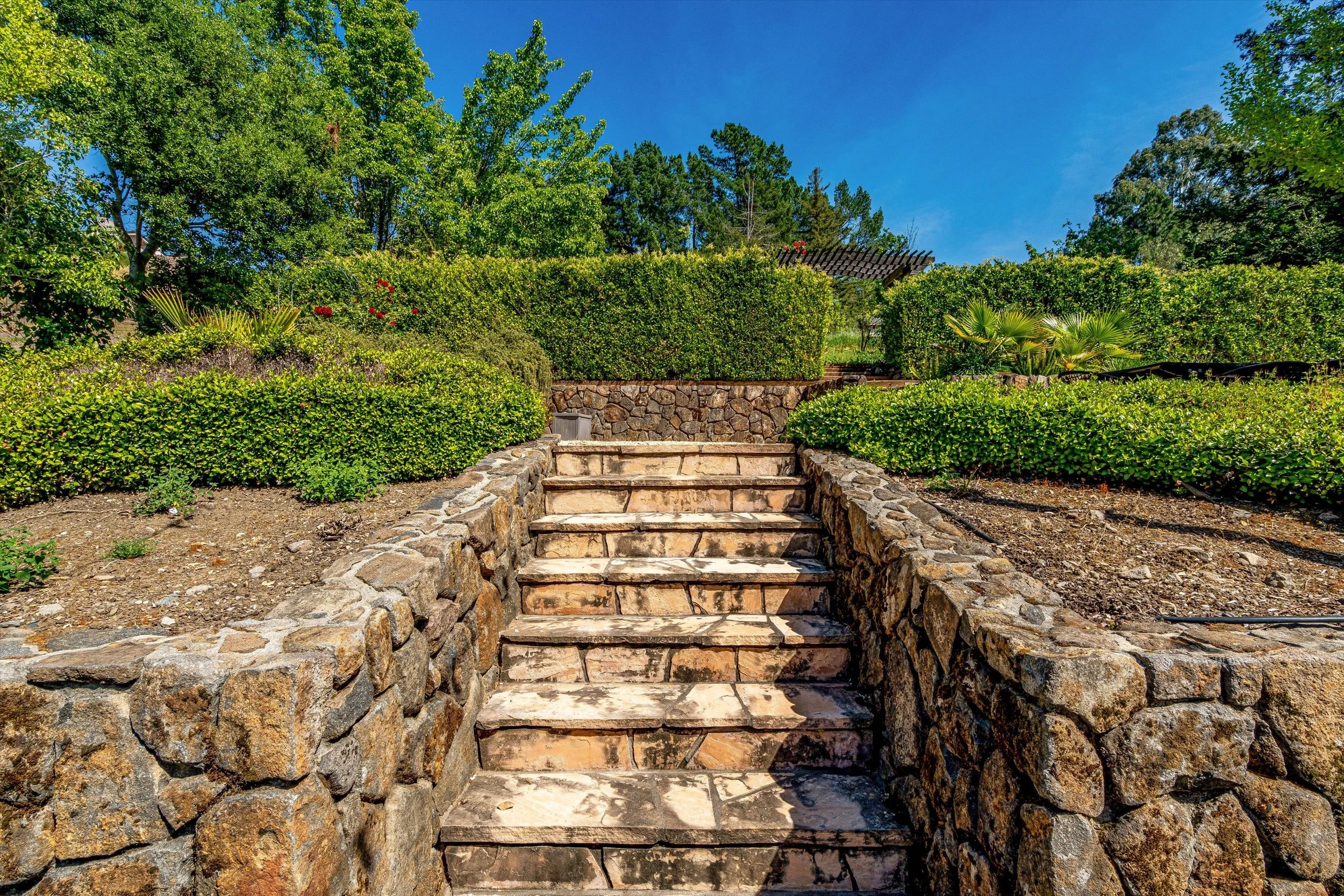 40.0 - 087-DSC00310.jpg